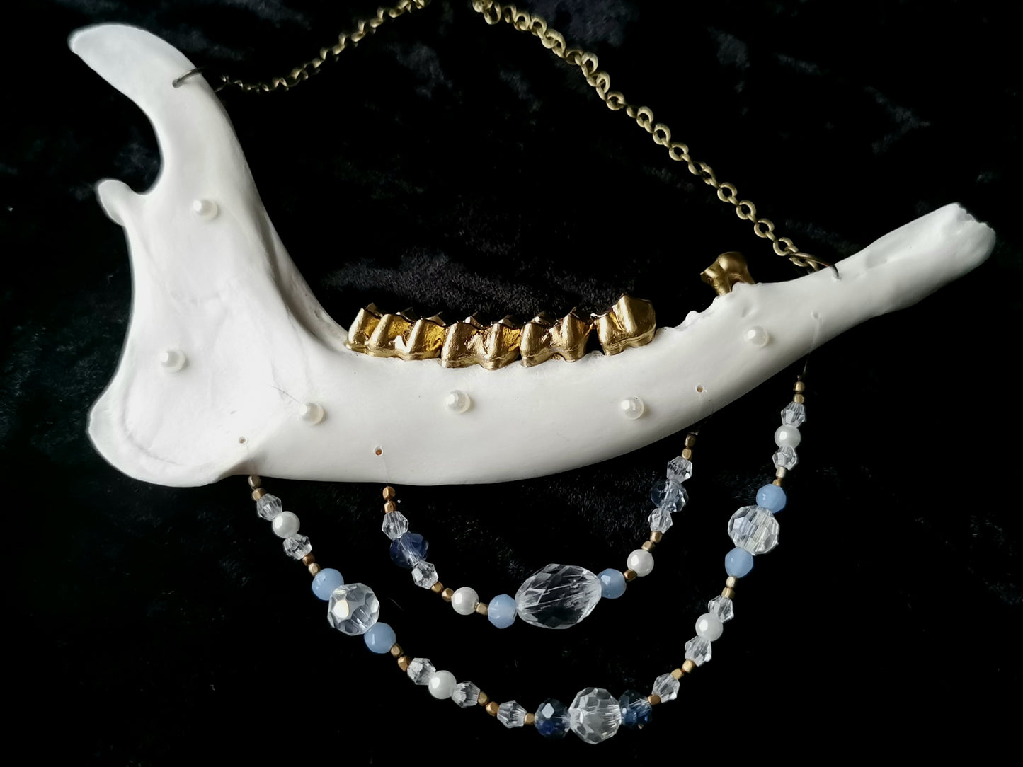 Deer jawbone wall hanger with clear and blue glass and crystal beads