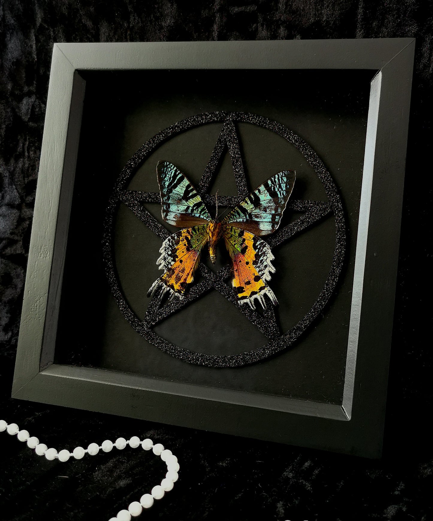 Madagascan Sunset moth pentagram frame