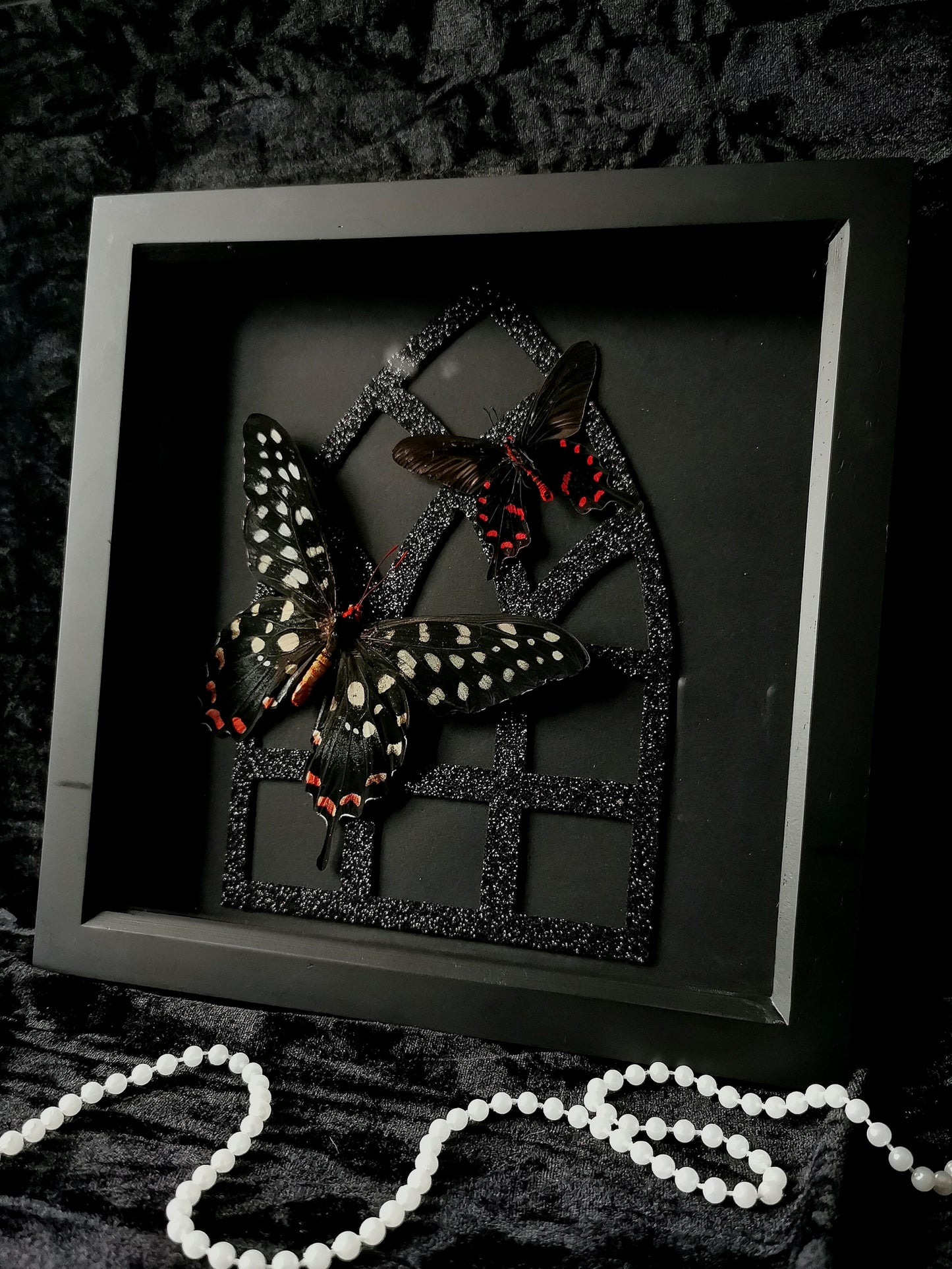 Giant Swallowtail and Pink Rose Swallowtail butterflies frame with black glitter gothic window