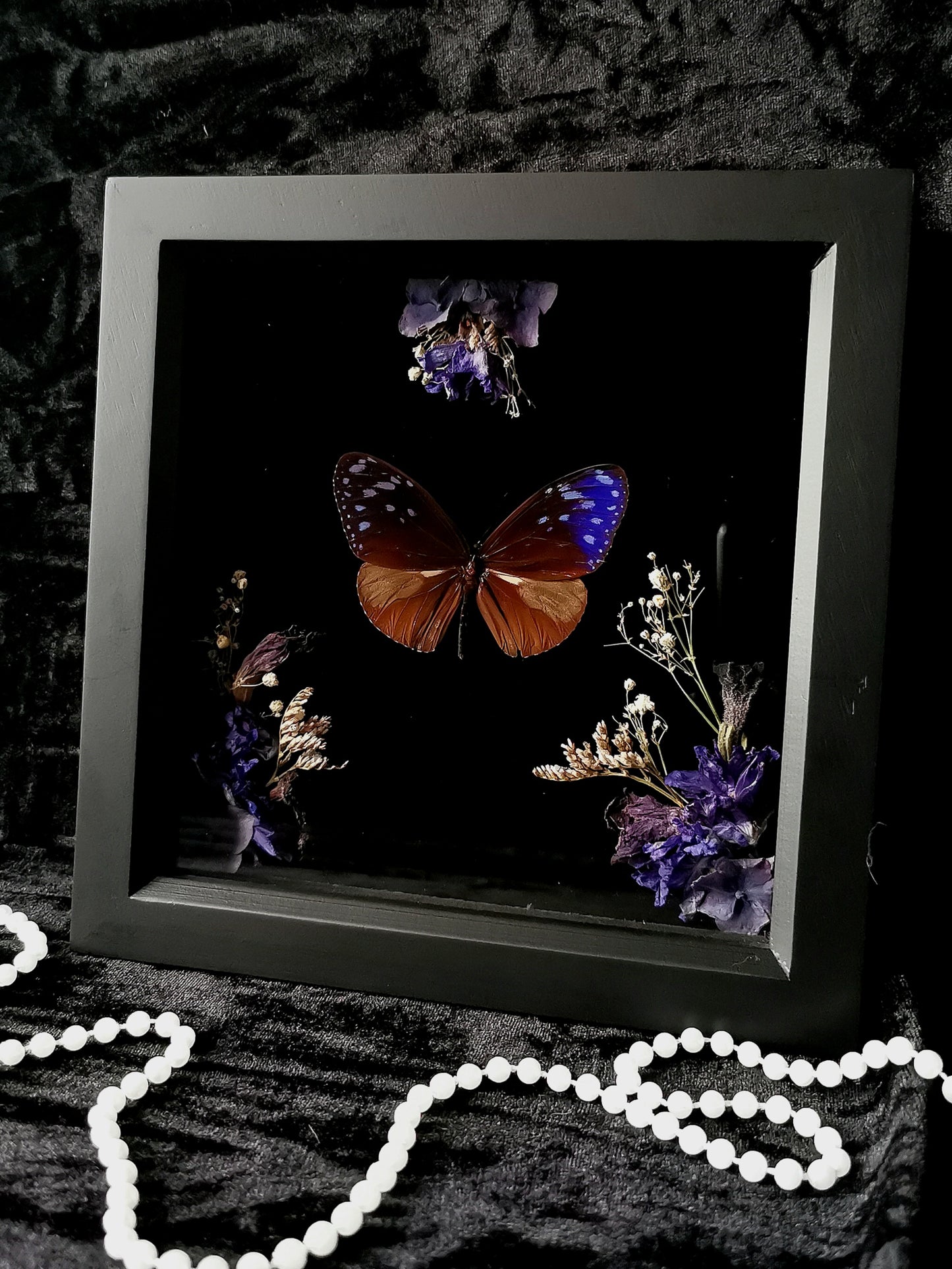 Purple crow butterfly frame with dried flowers