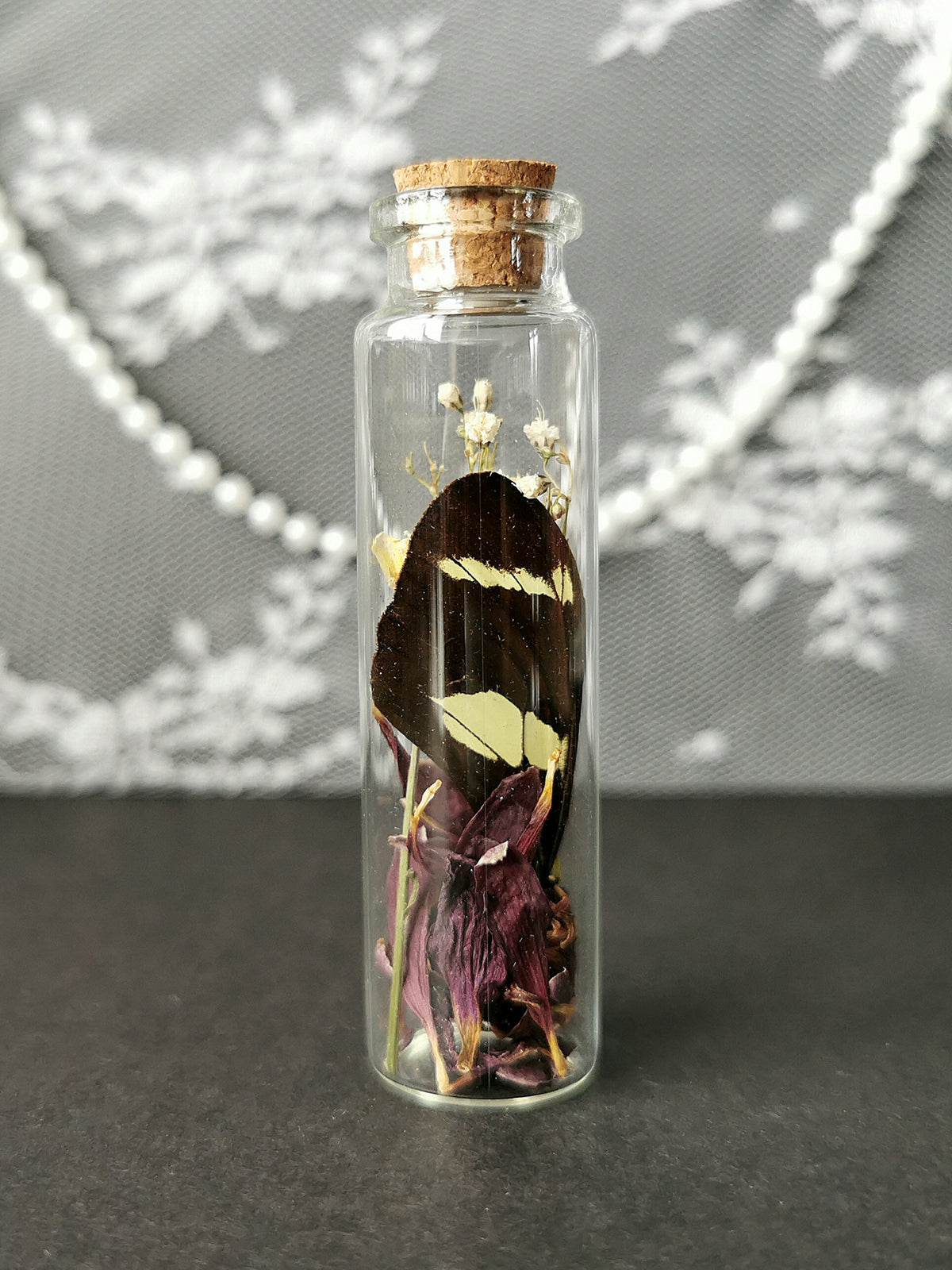 Small curiosity bottle
