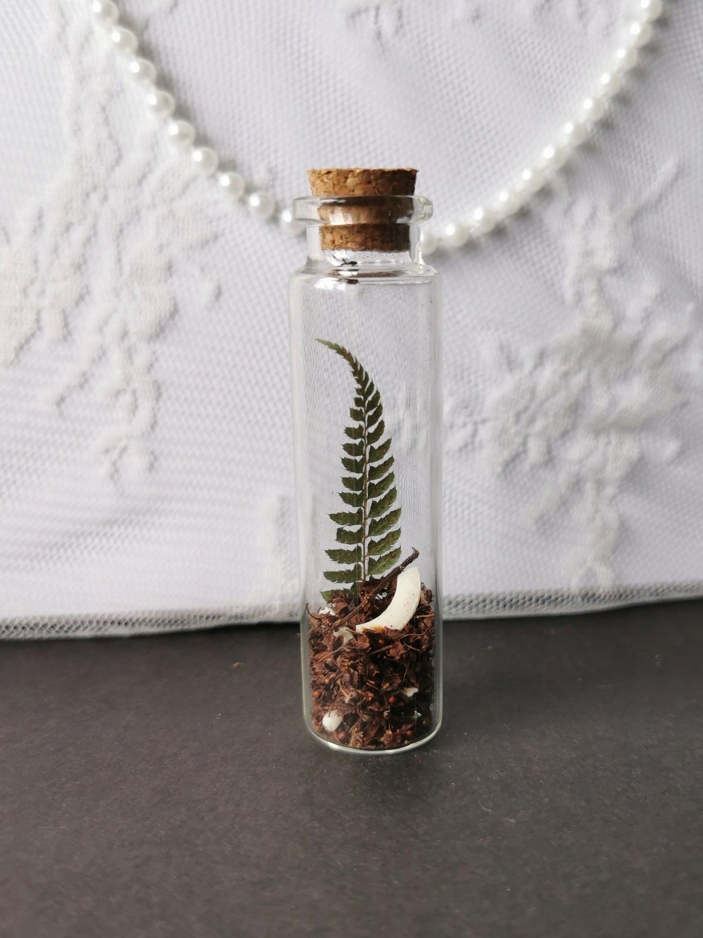 Small curiosity bottle