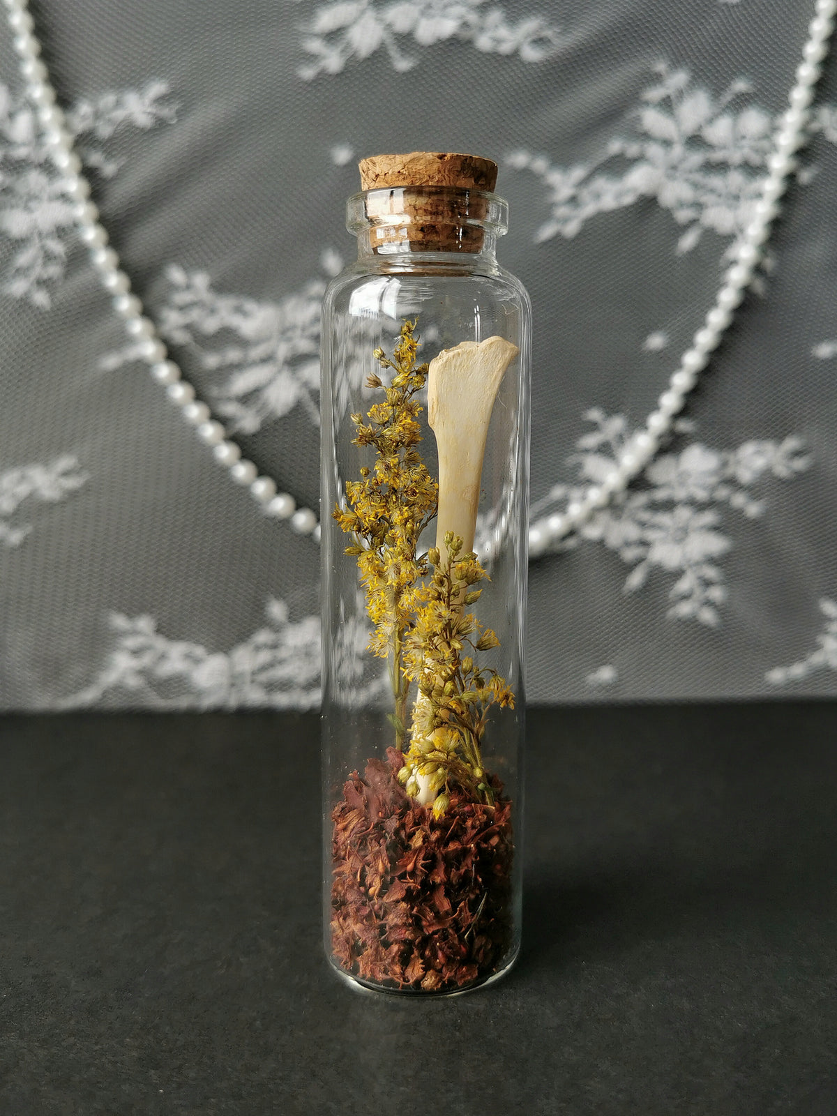 Large curiosity bottle