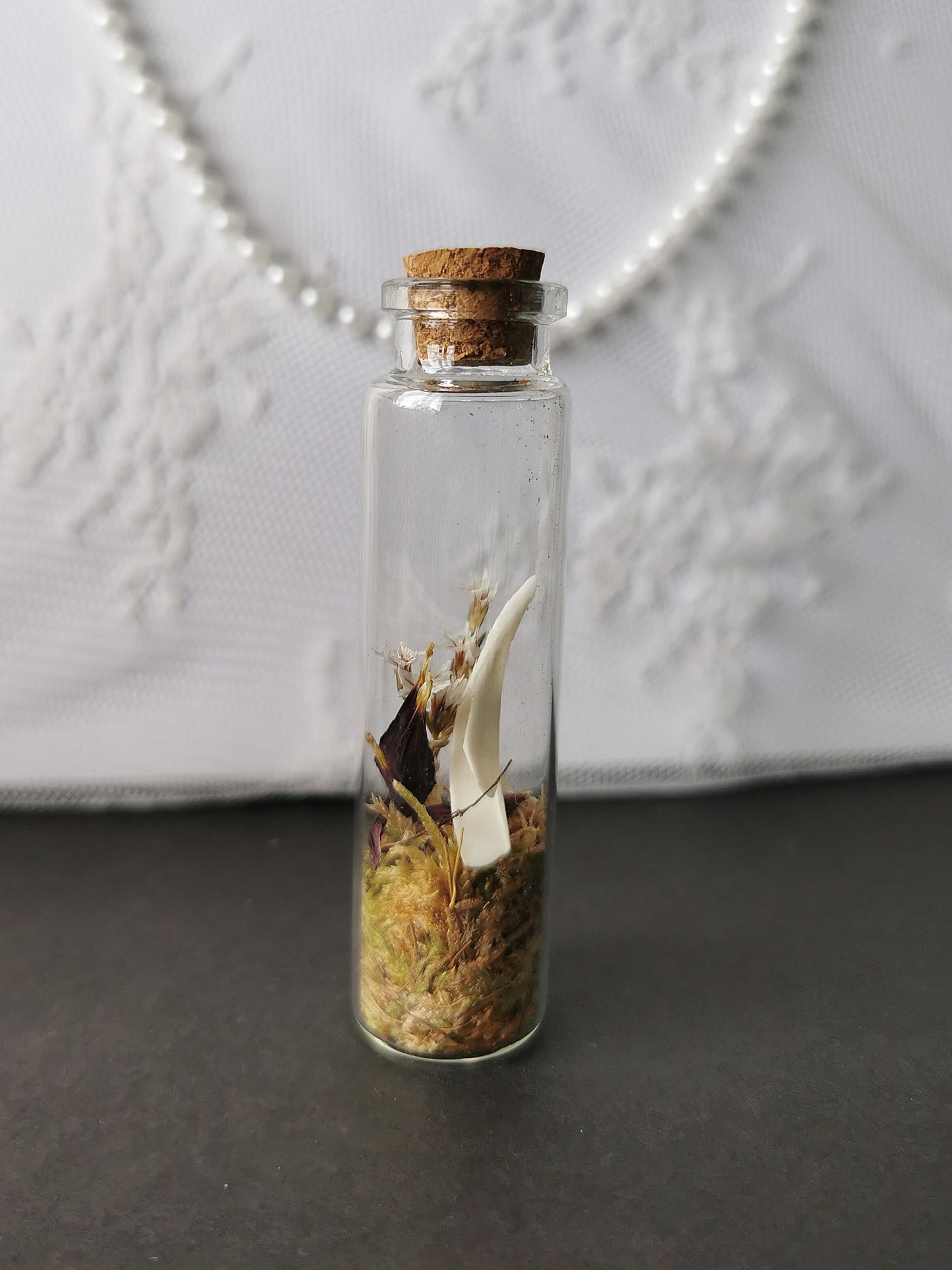 Curiosity bottle set