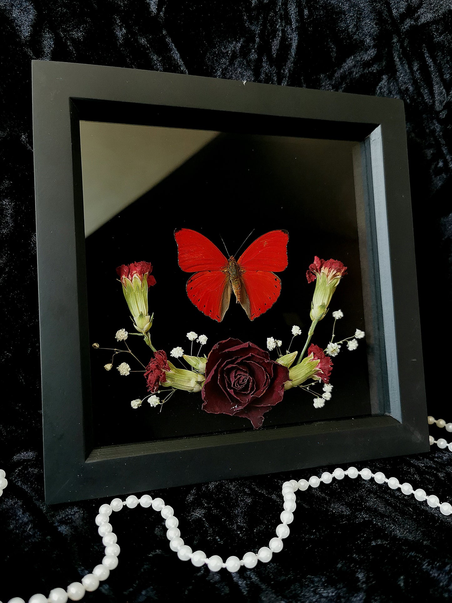 Blood Red Glider butterfly frame with dried flowers