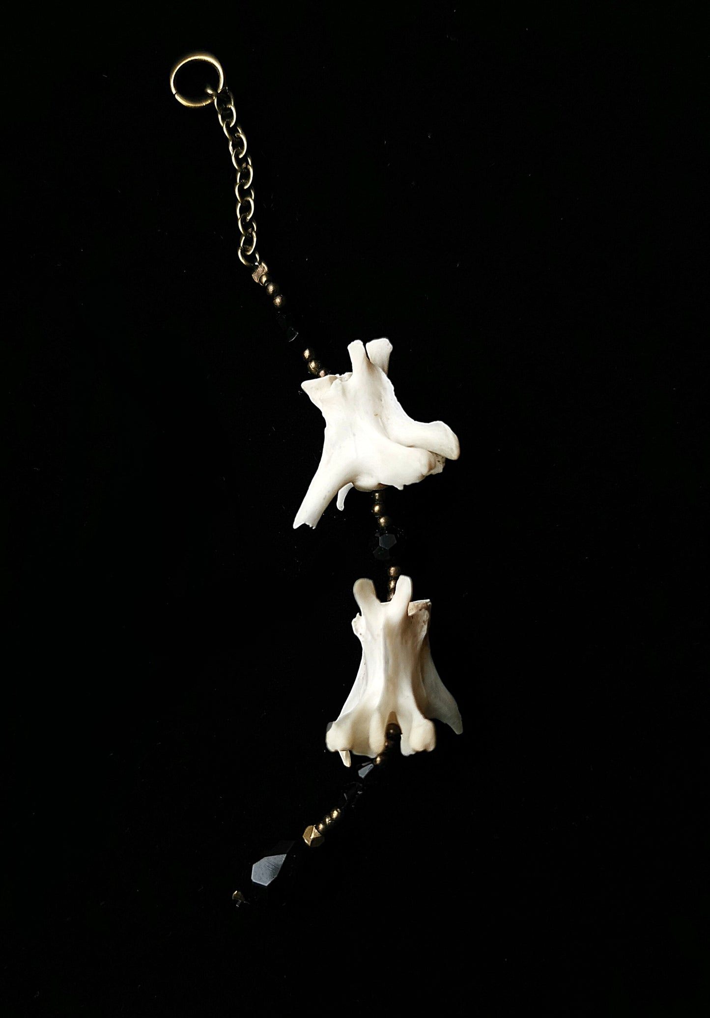 Rabbit vertebrae suncatcher