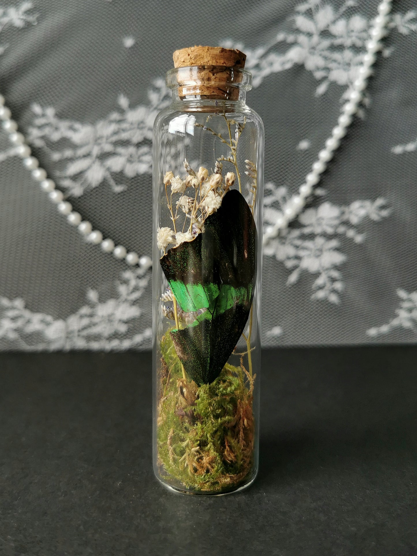 Large curiosity bottle