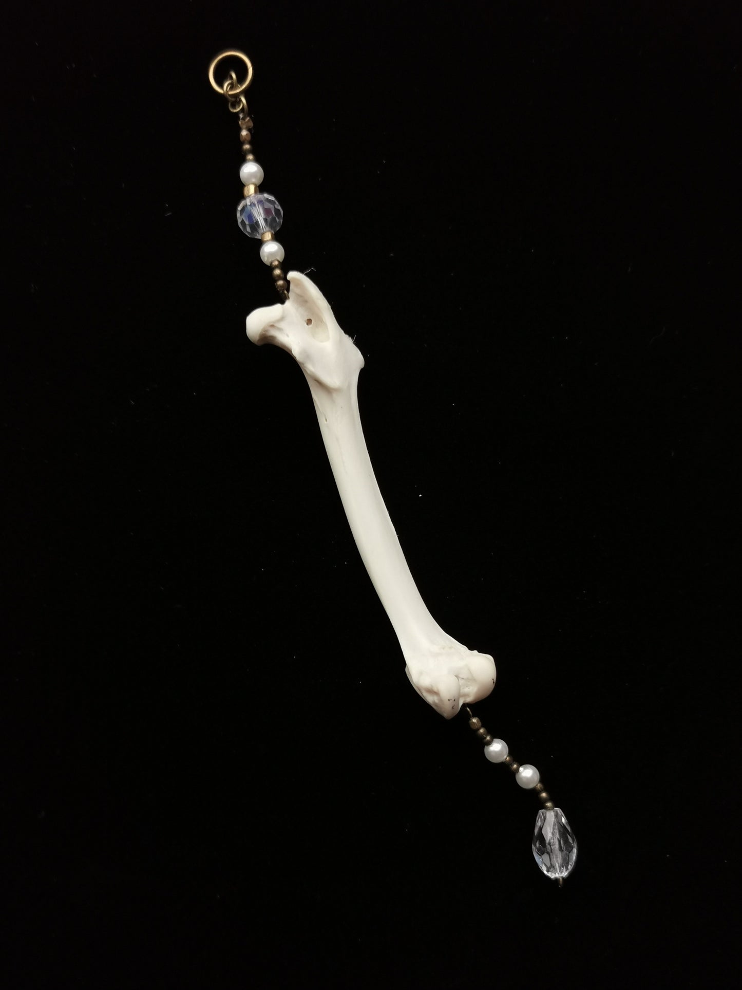Rabbit humerus suncatcher