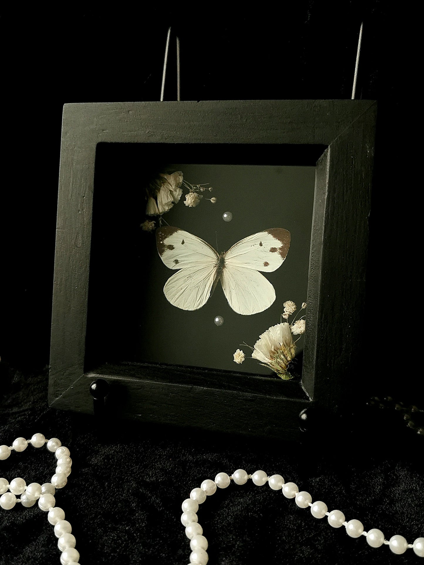 Naga White butterfly frame