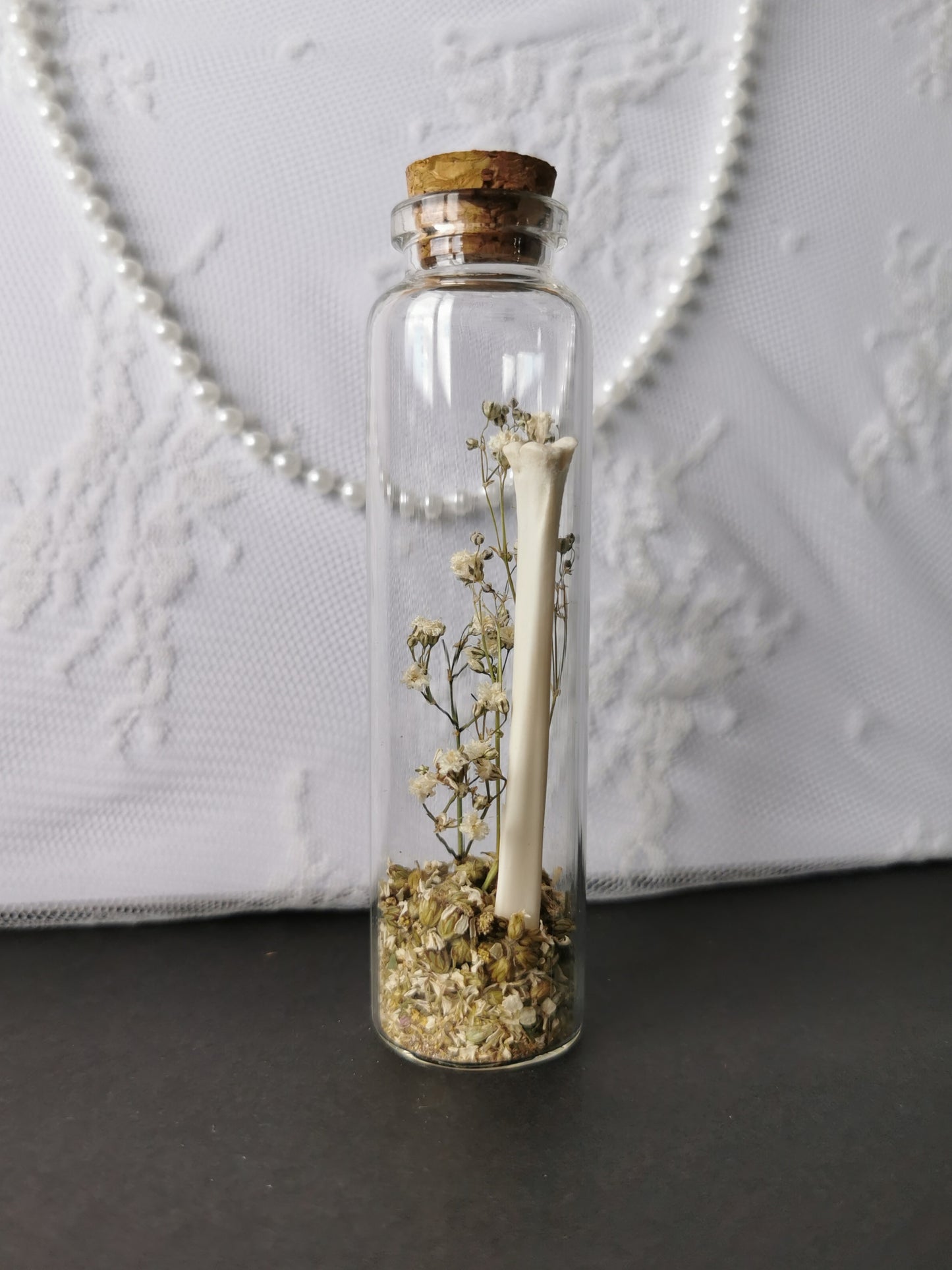 Large curiosity bottle