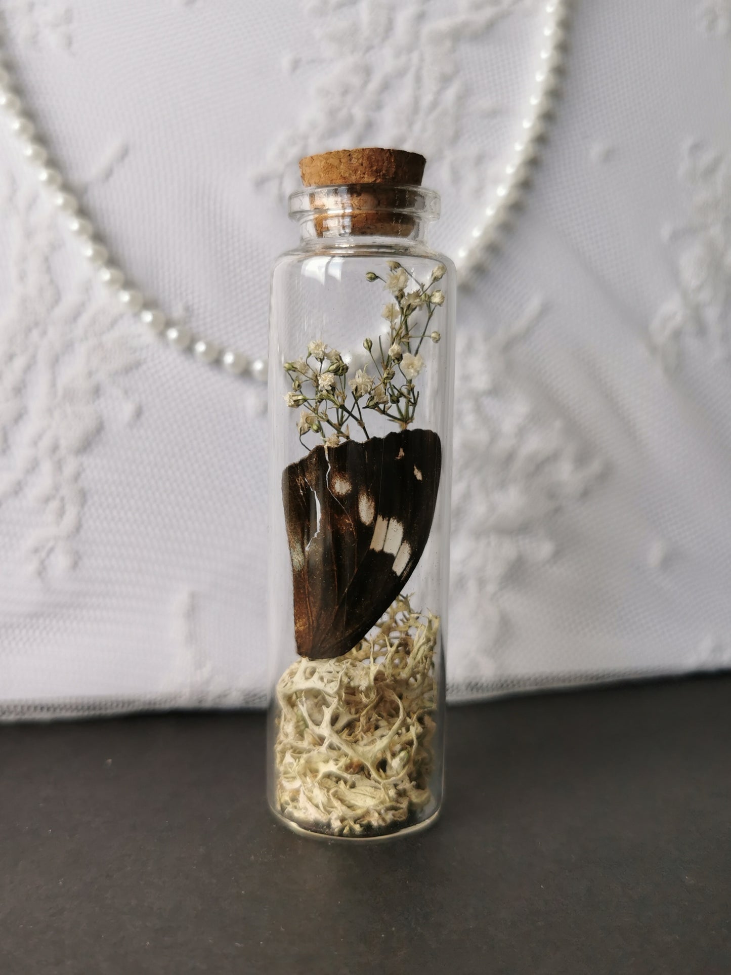Large curiosity bottle