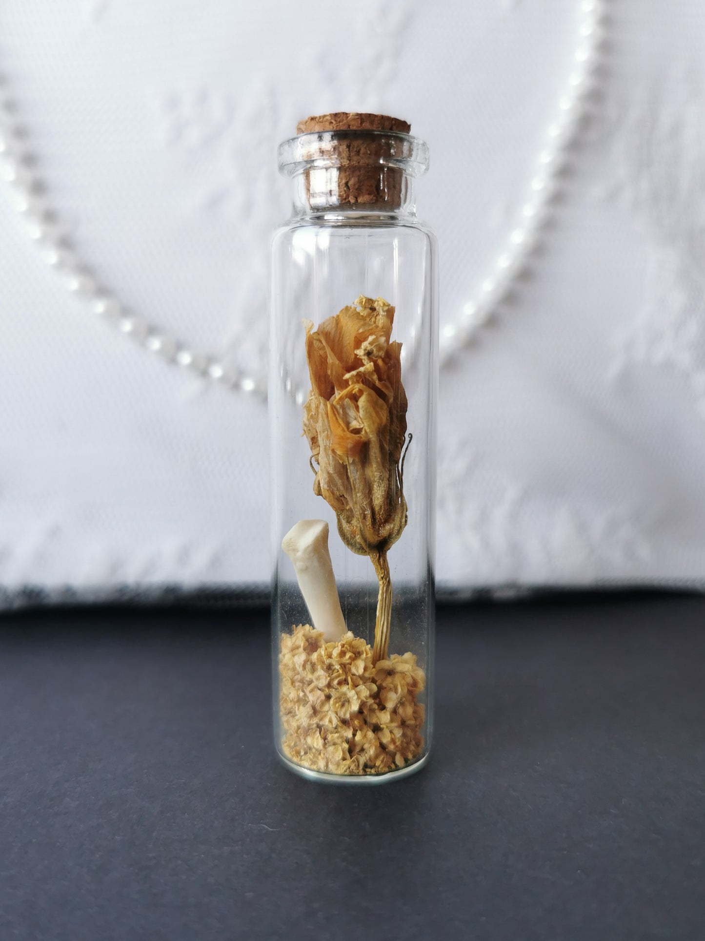 Small curiosity bottle