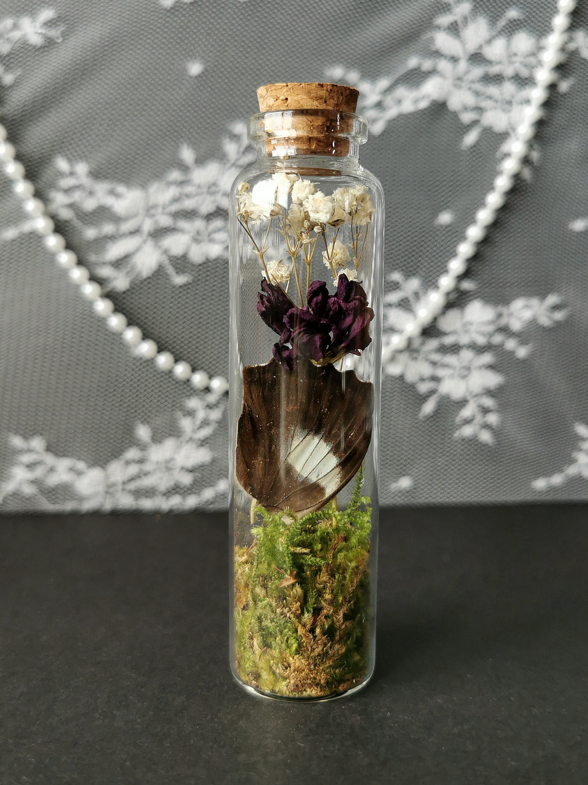 Large curiosity bottle