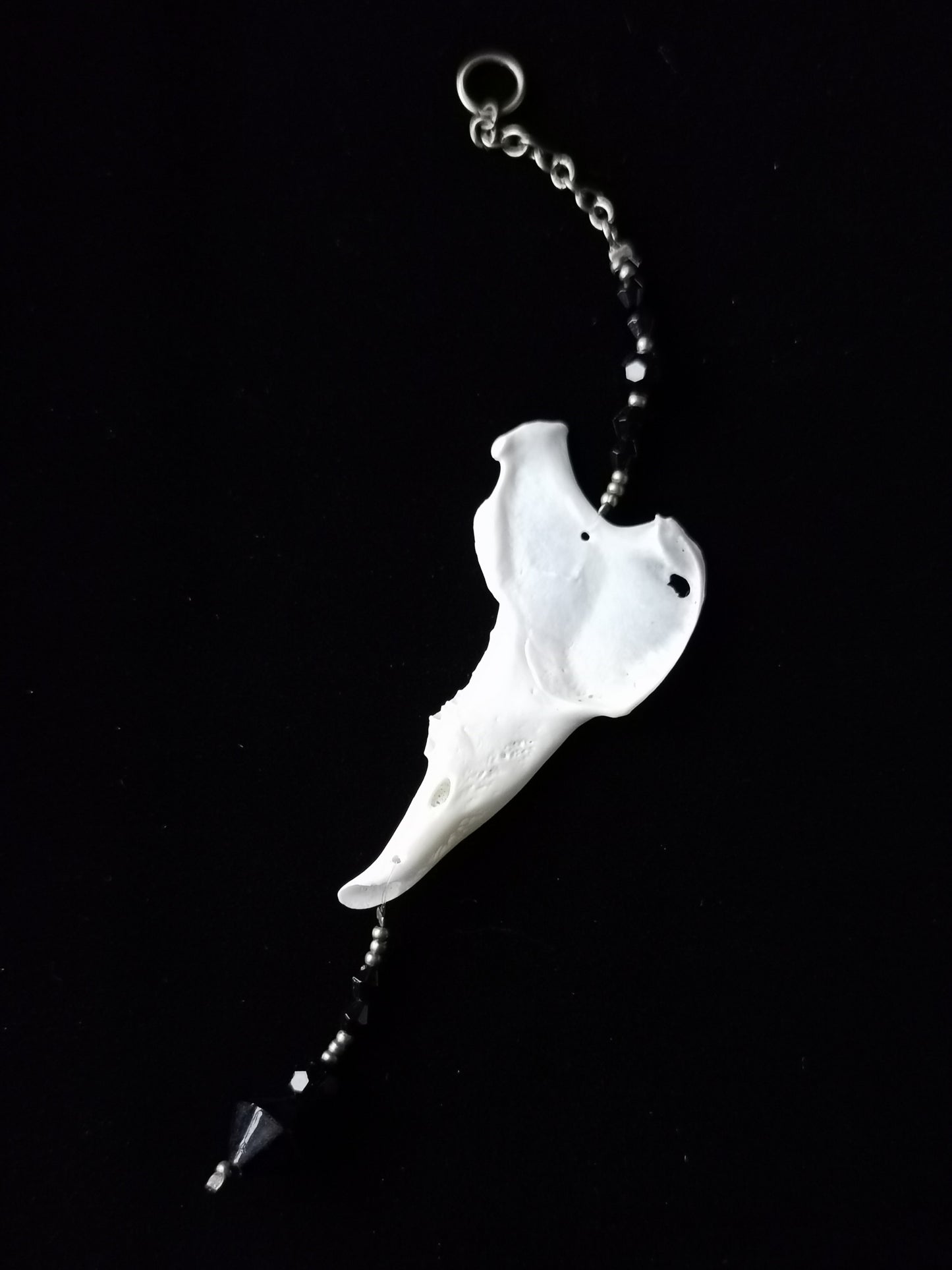 Rabbit jawbone suncatcher