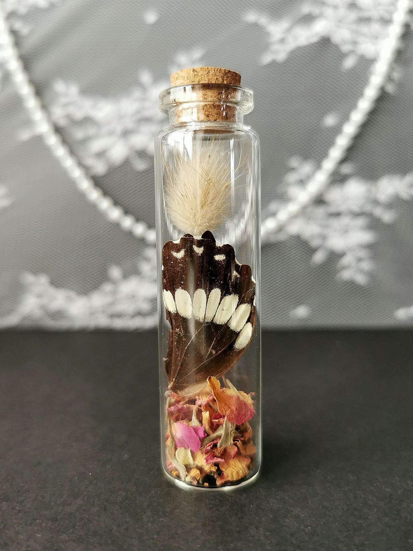 Small curiosity bottle