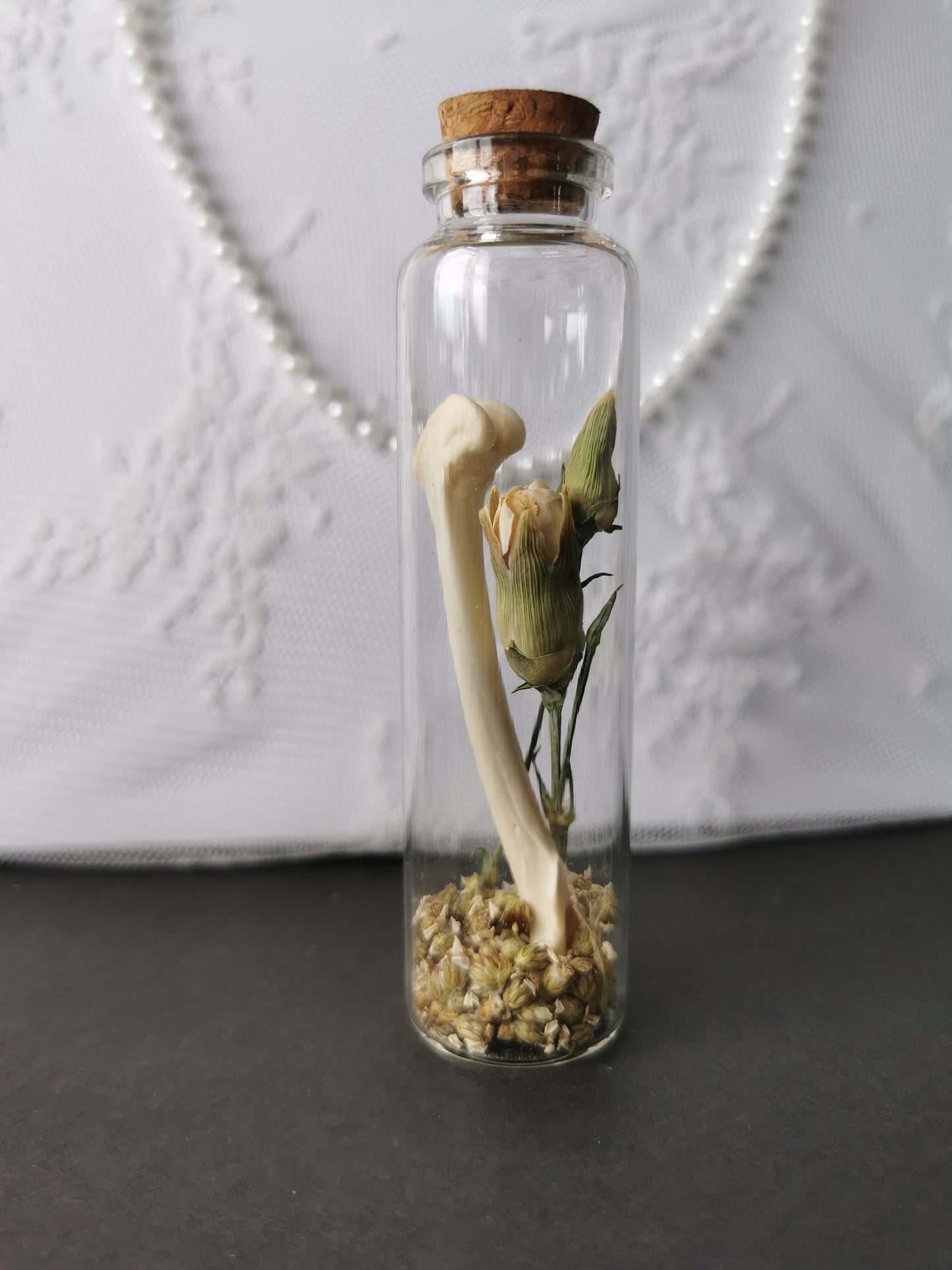 Large curiosity bottle