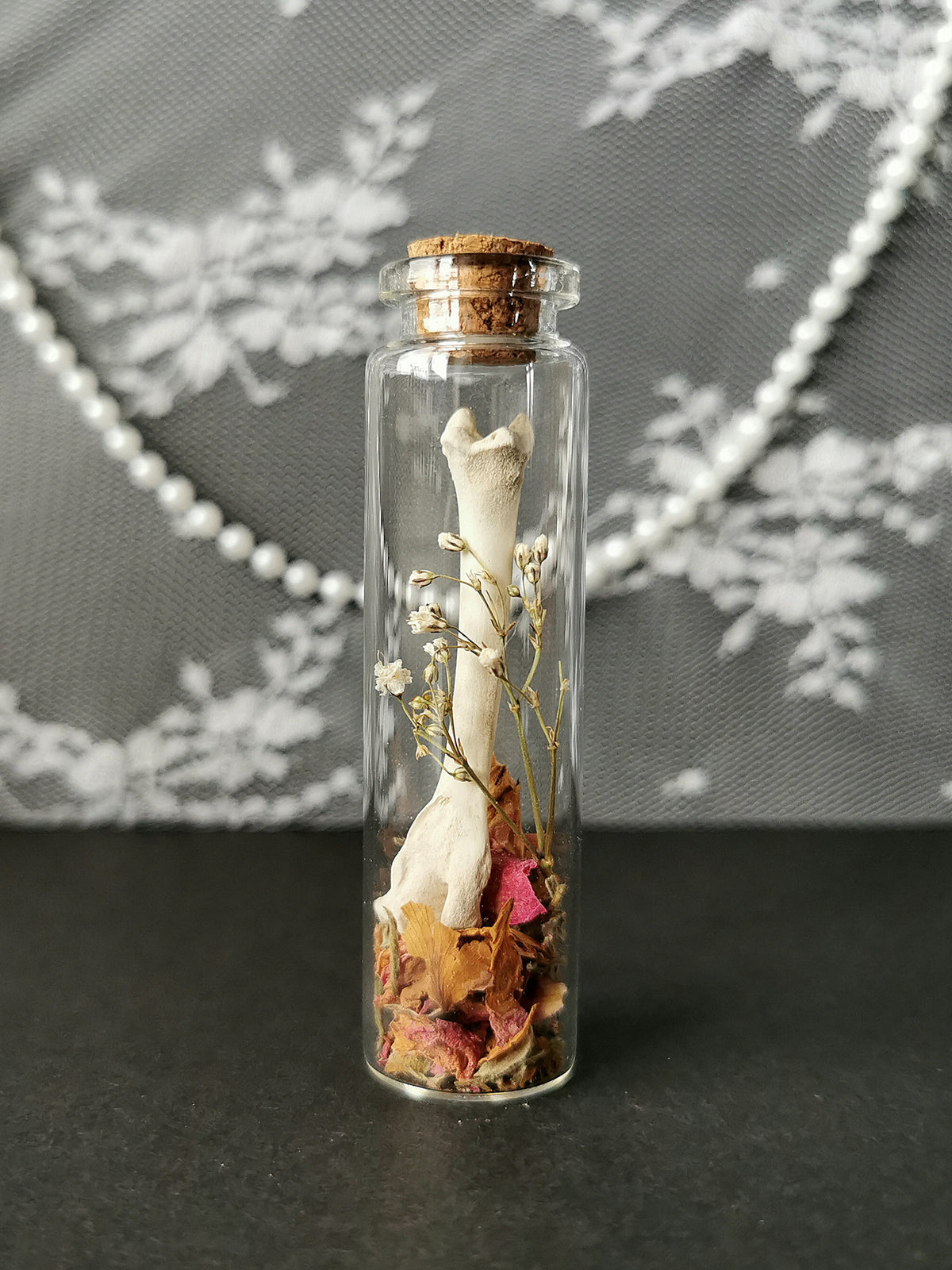 Small curiosity bottle