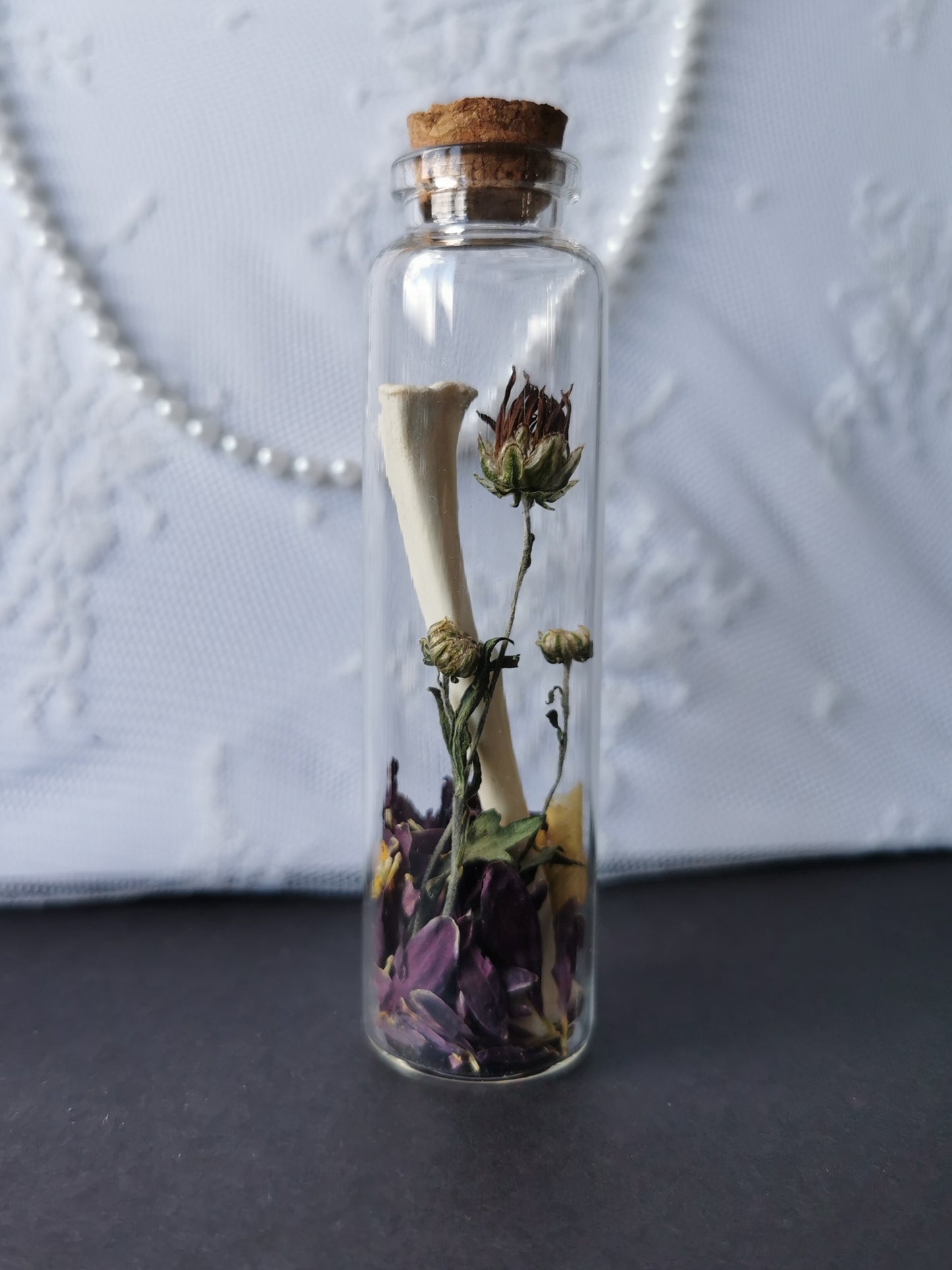 Large curiosity bottle