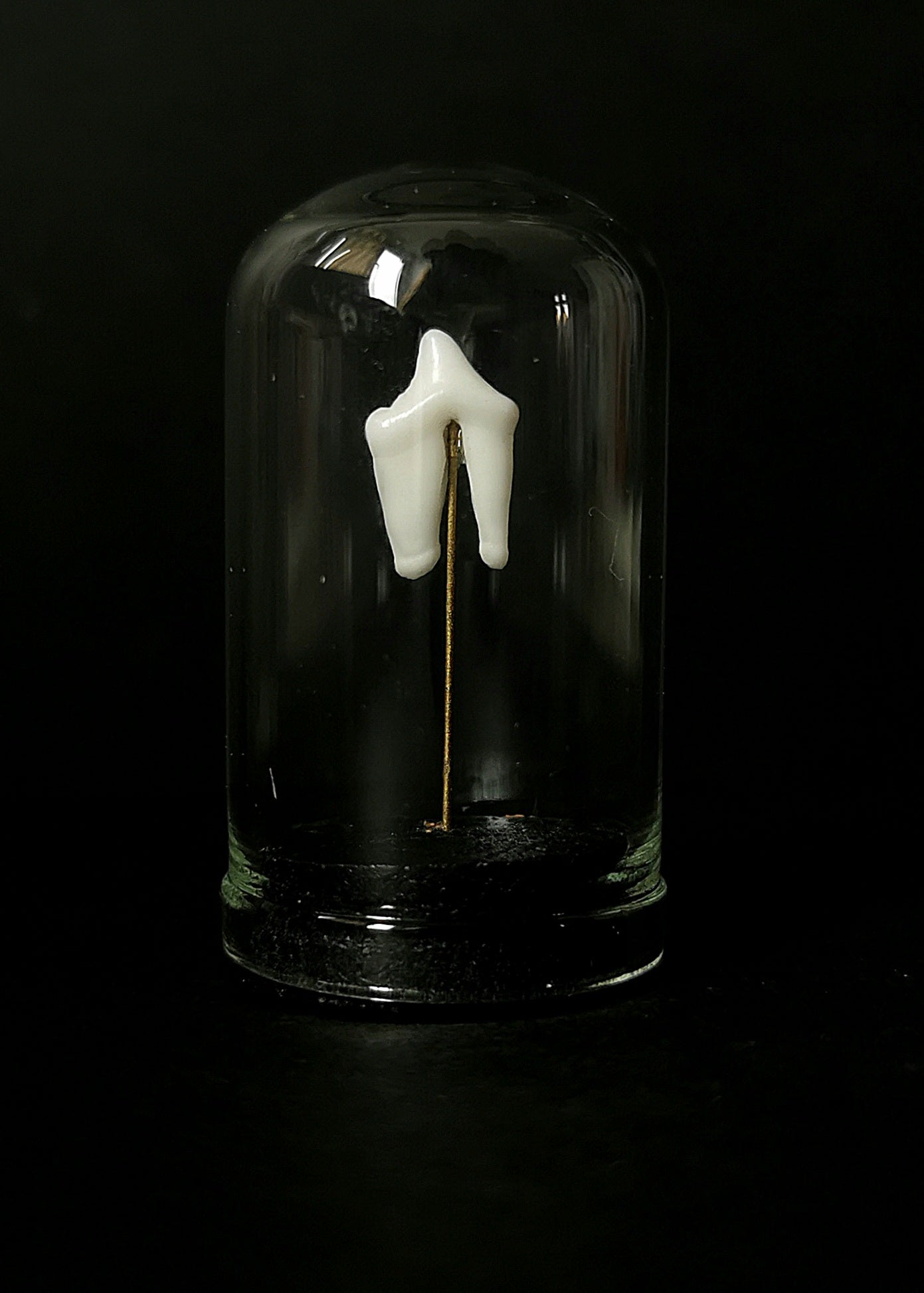 Small tooth dome