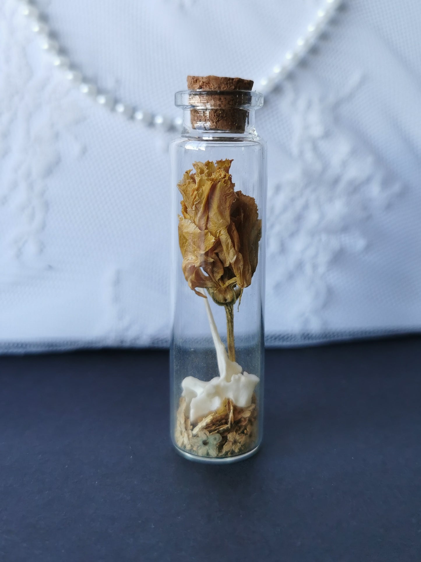 Curiosity bottle set