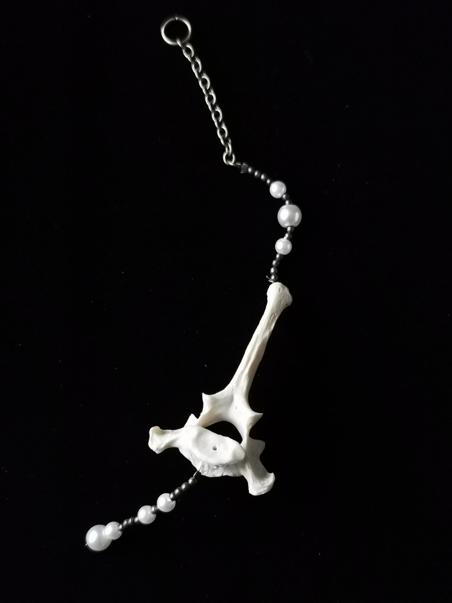 Rabbit vertebrae suncatcher