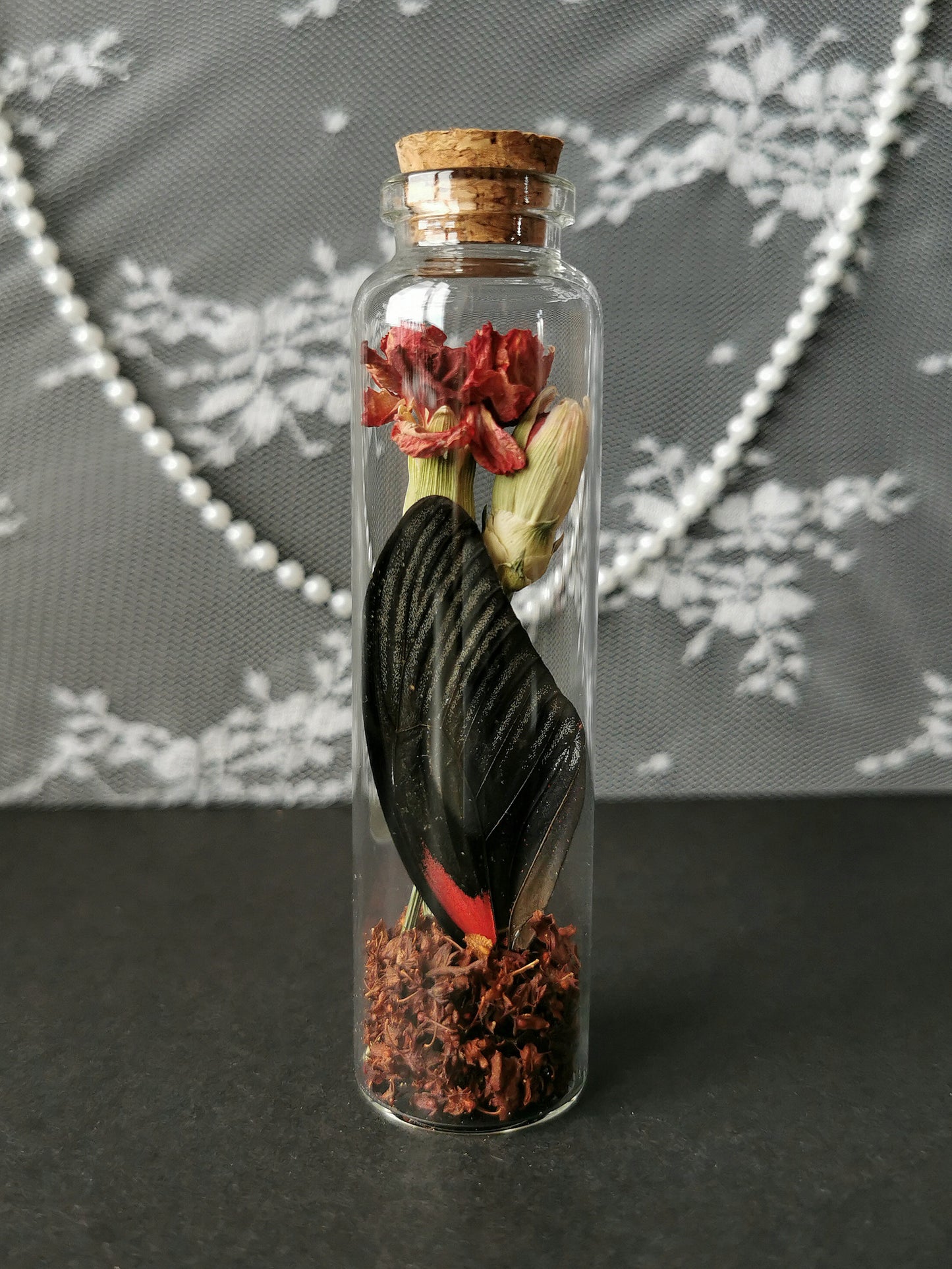 Large curiosity bottle