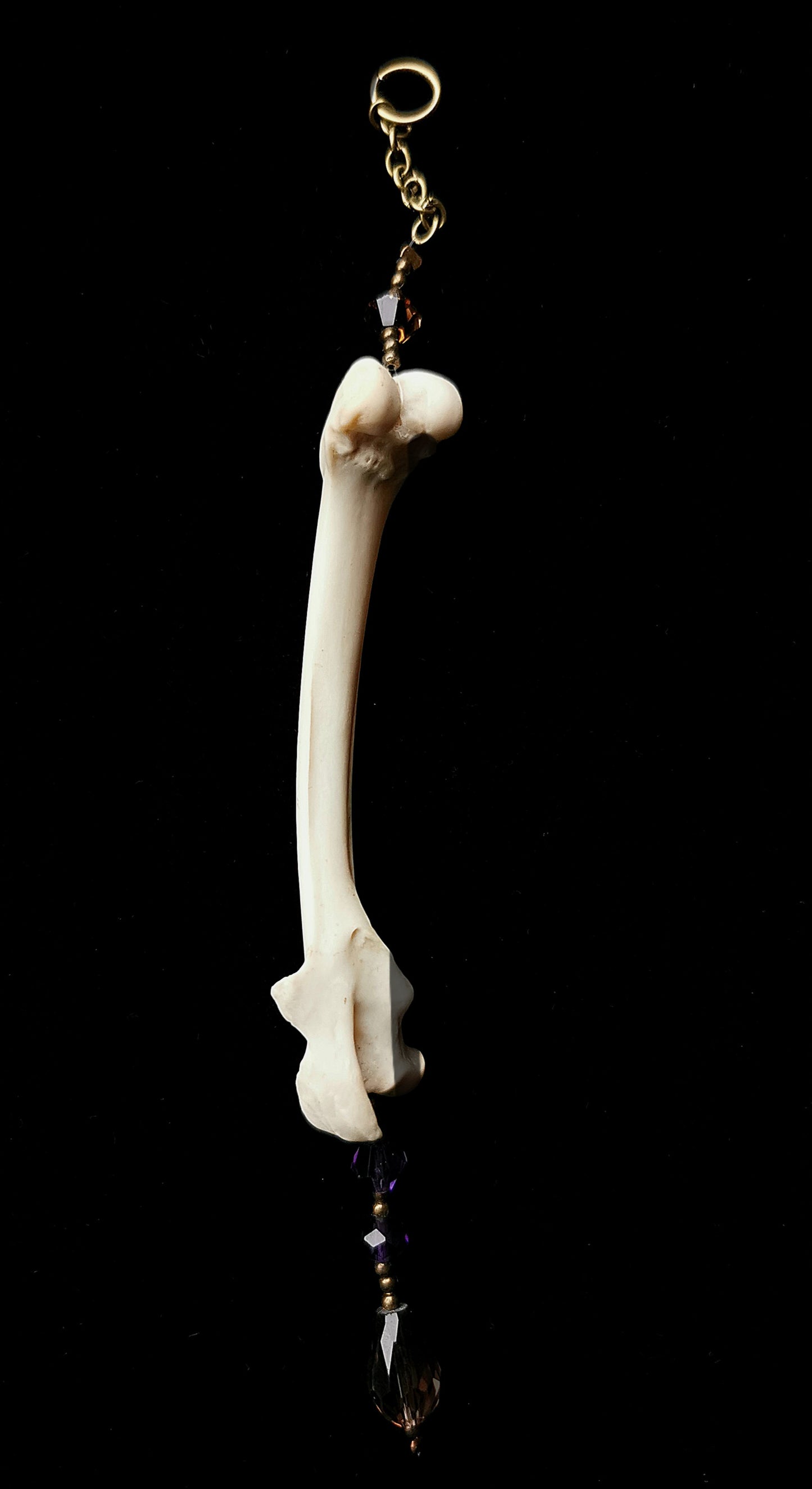 Rabbit humerus suncatcher