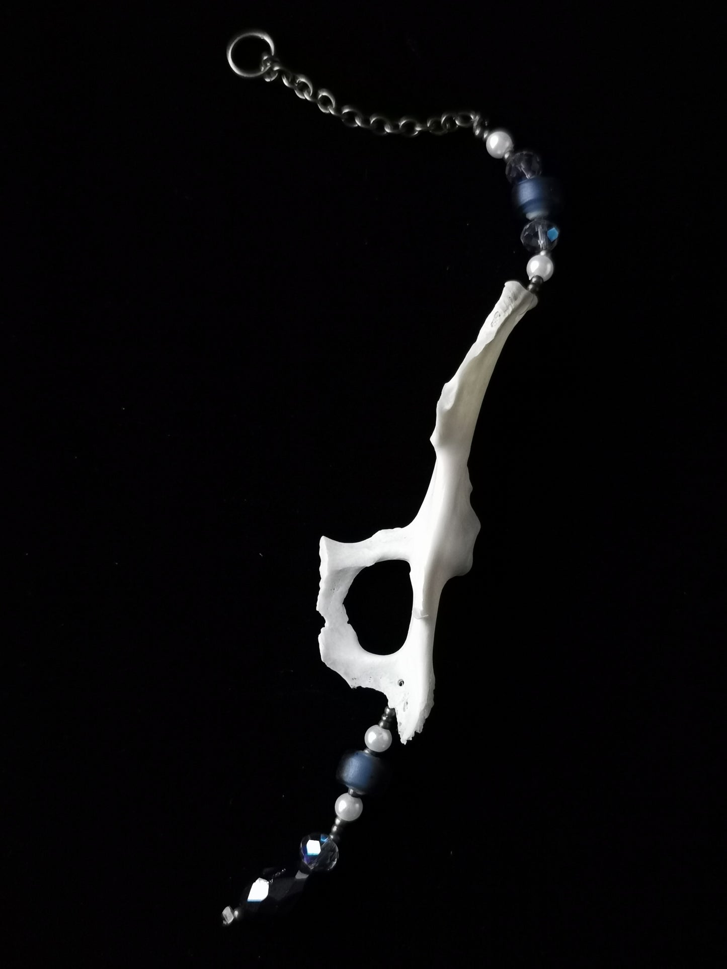 Rabbit pelvis suncatcher