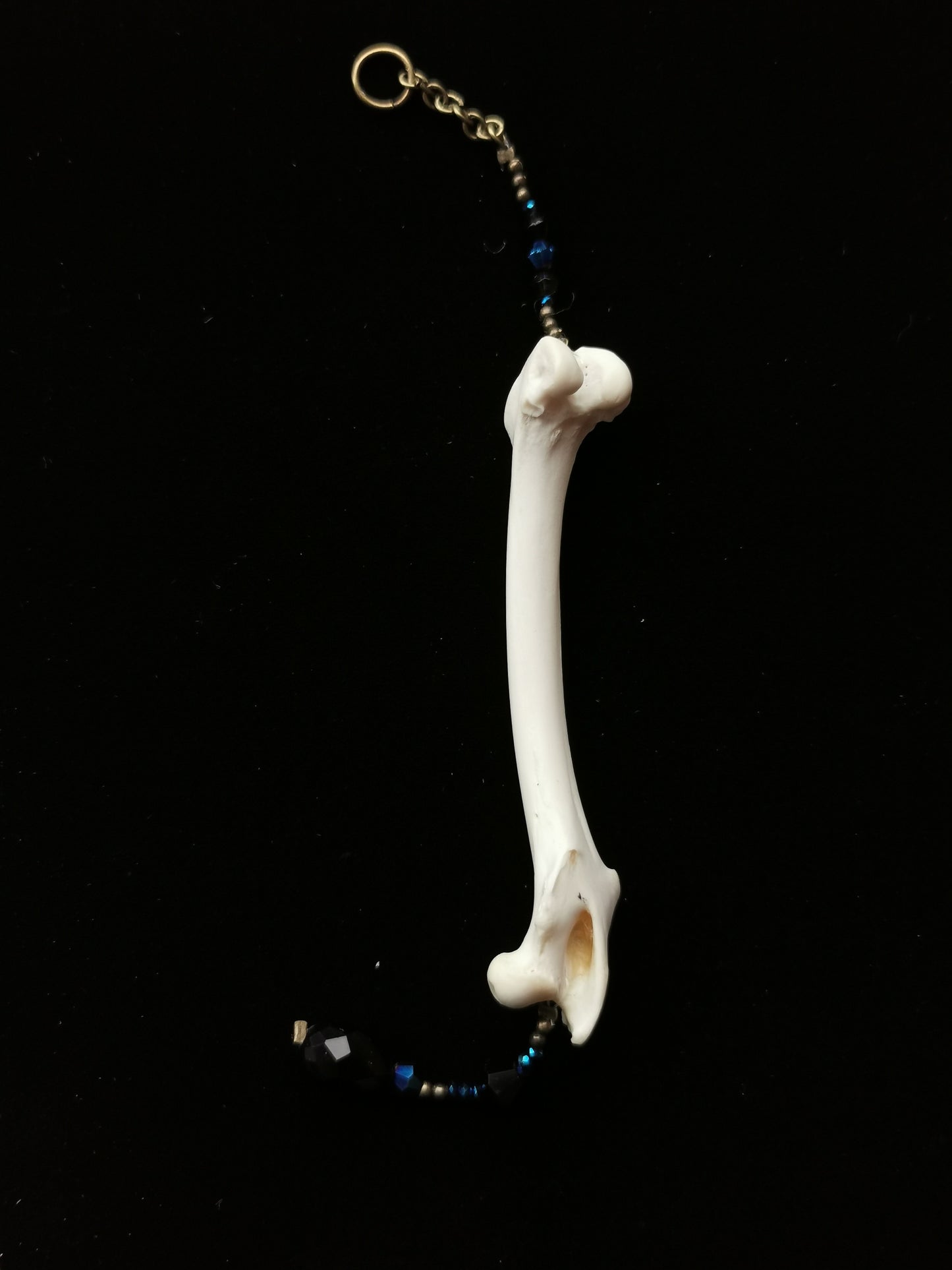 Rabbit humerus suncatcher