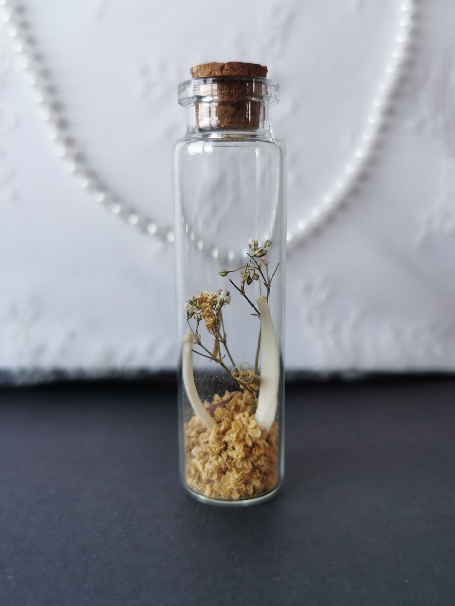 Small curiosity bottle