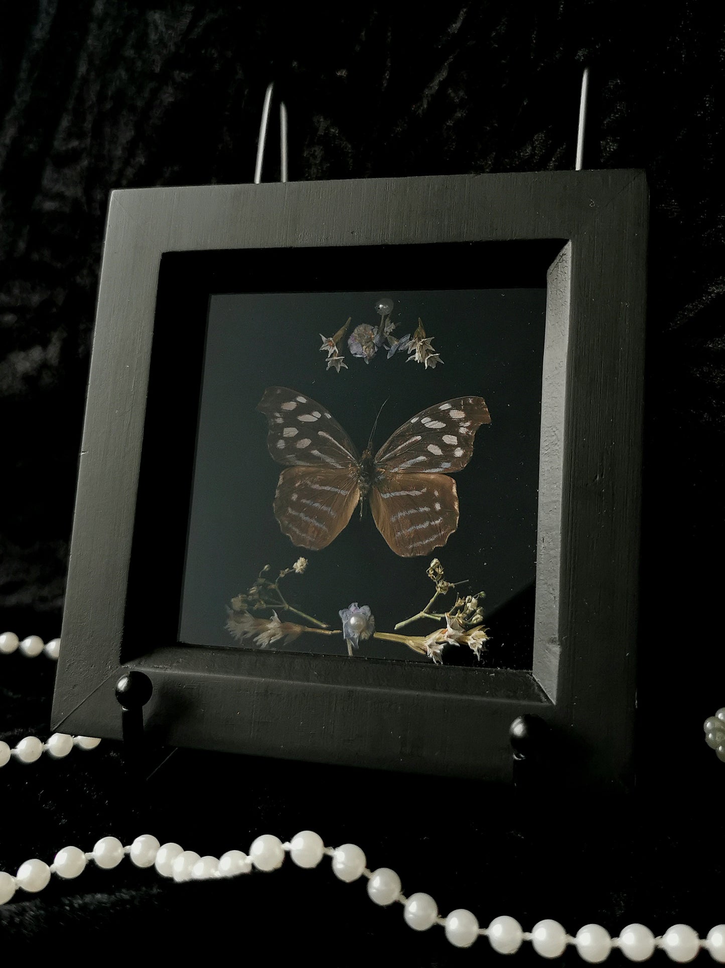 Blue Wave butterfly entomology frame