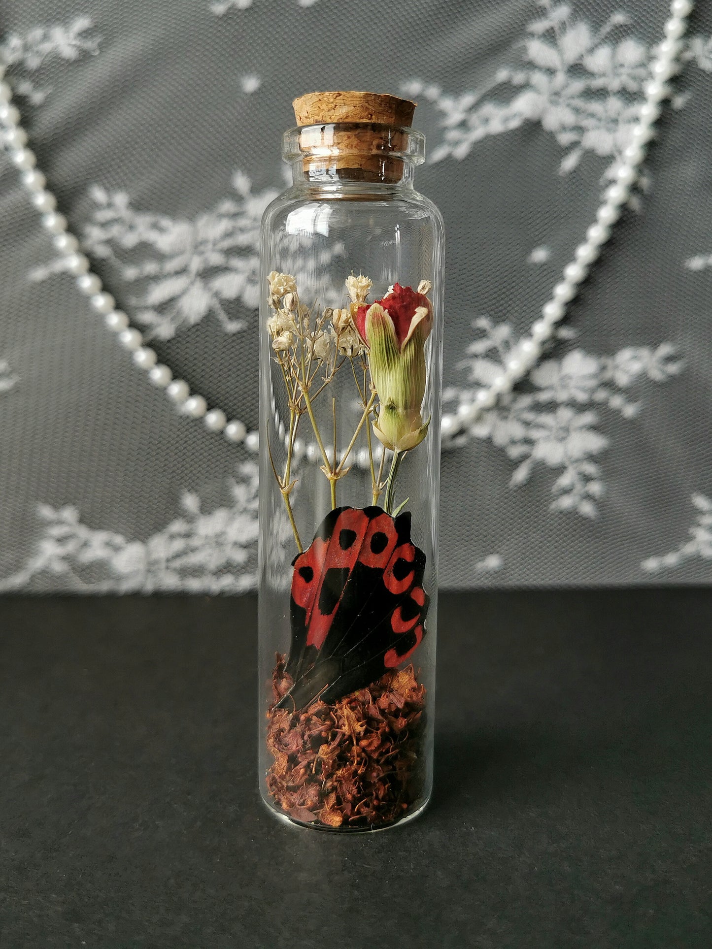 Large curiosity bottle