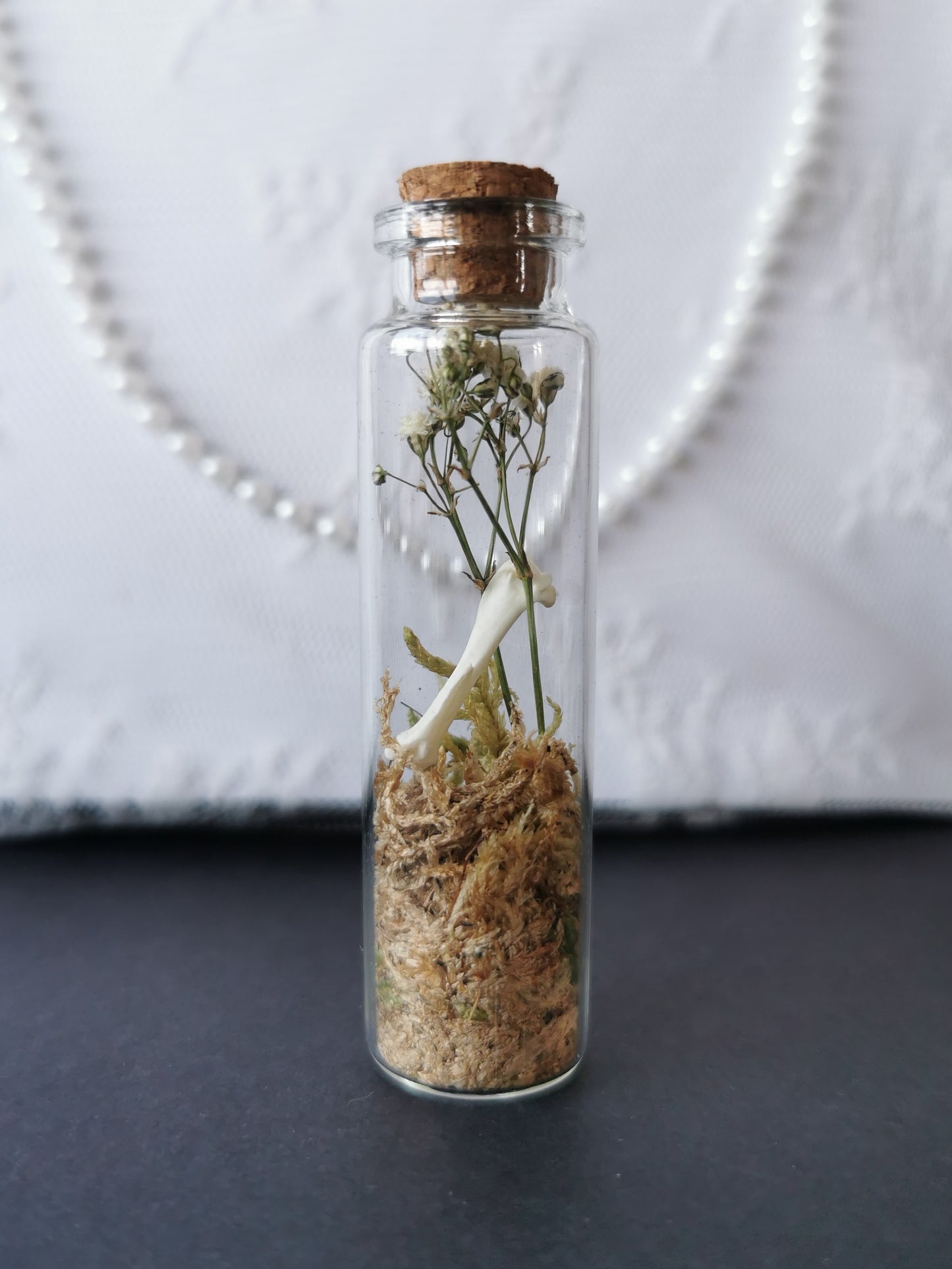 Small curiosity bottle