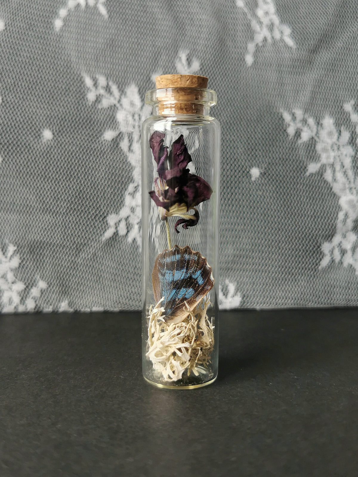 Small curiosity bottle