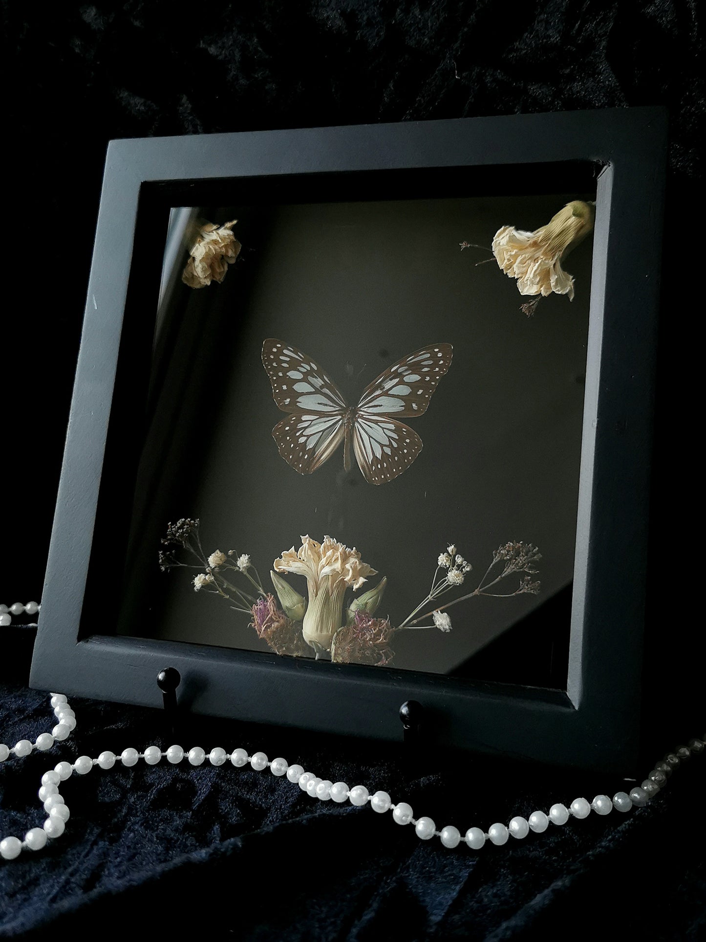 Glassy Tiger butterfly frame with dried flowers