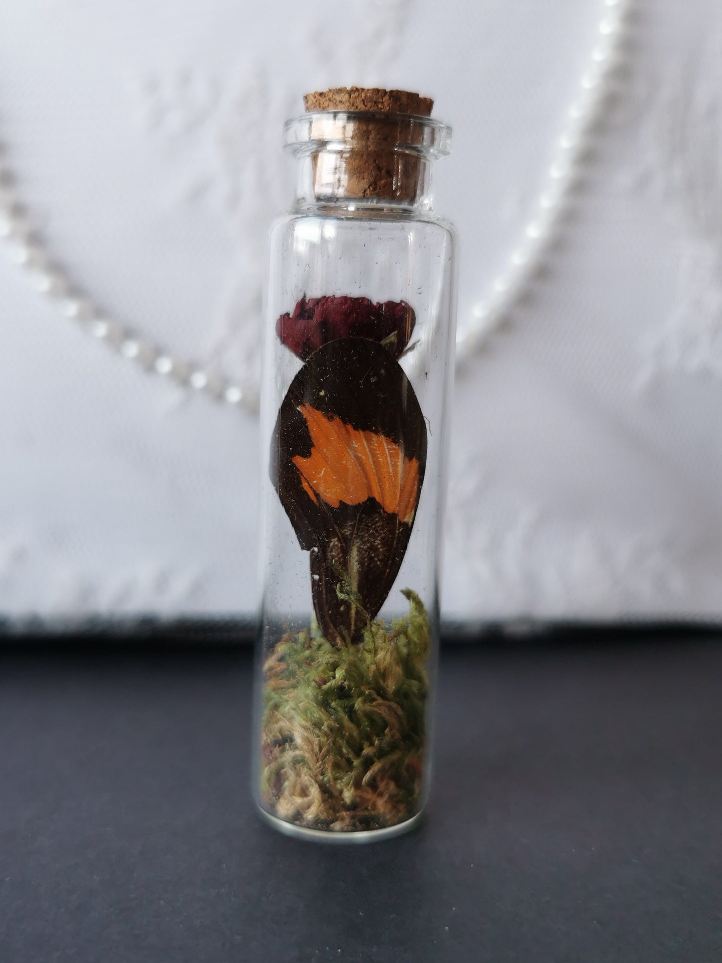 Small curiosity bottle