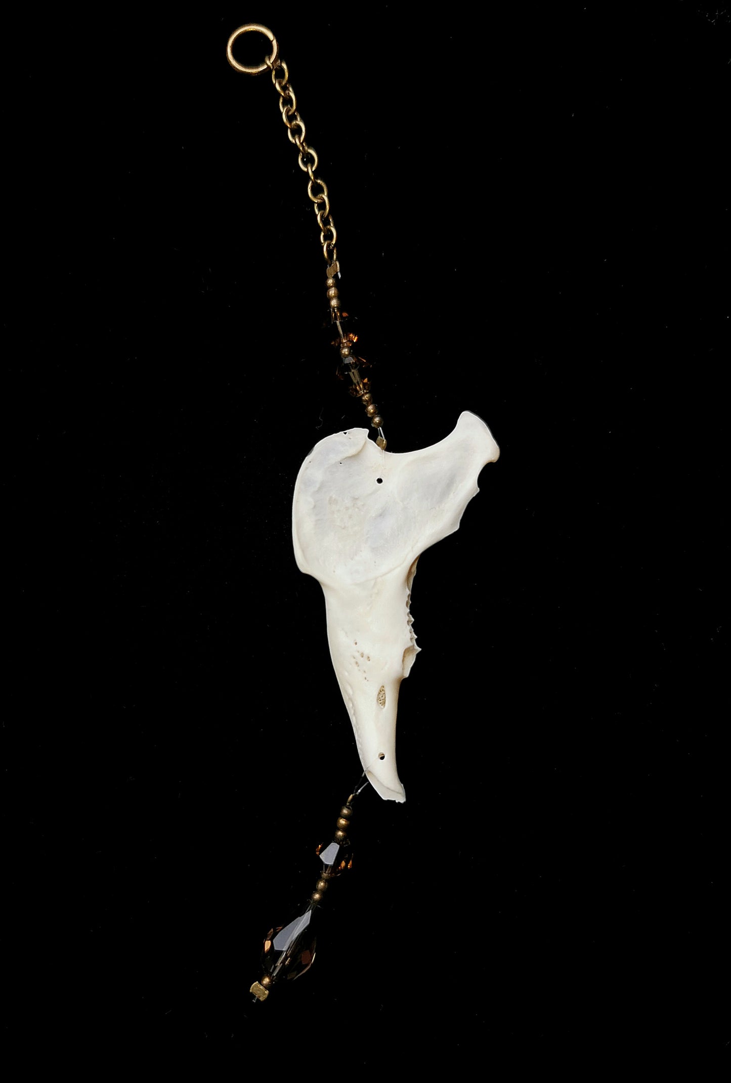 Rabbit jawbone suncatcher