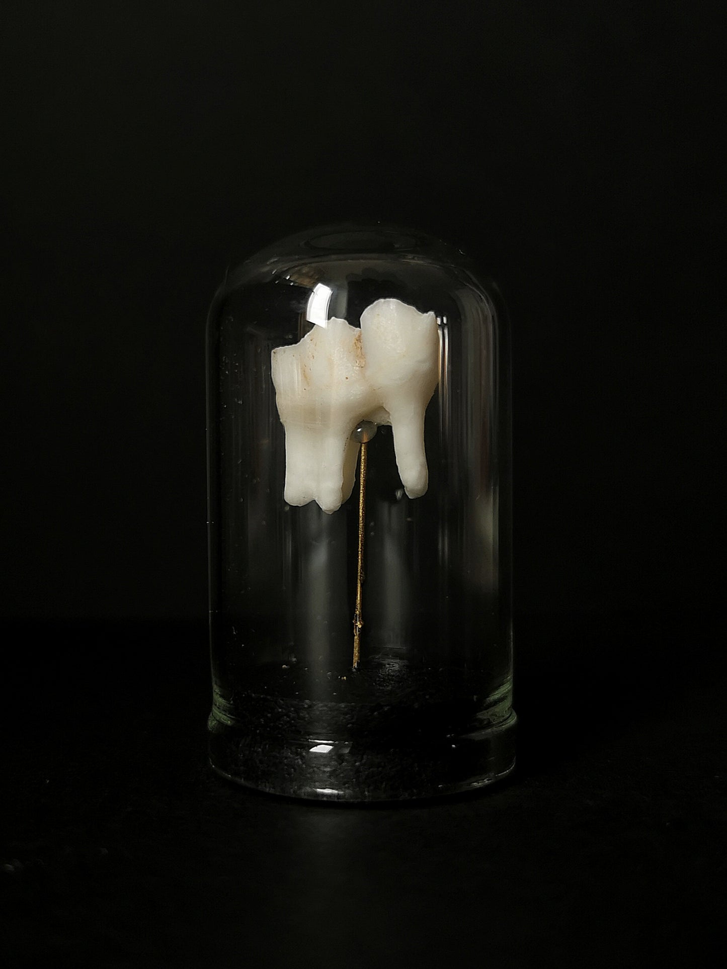 Small tooth dome
