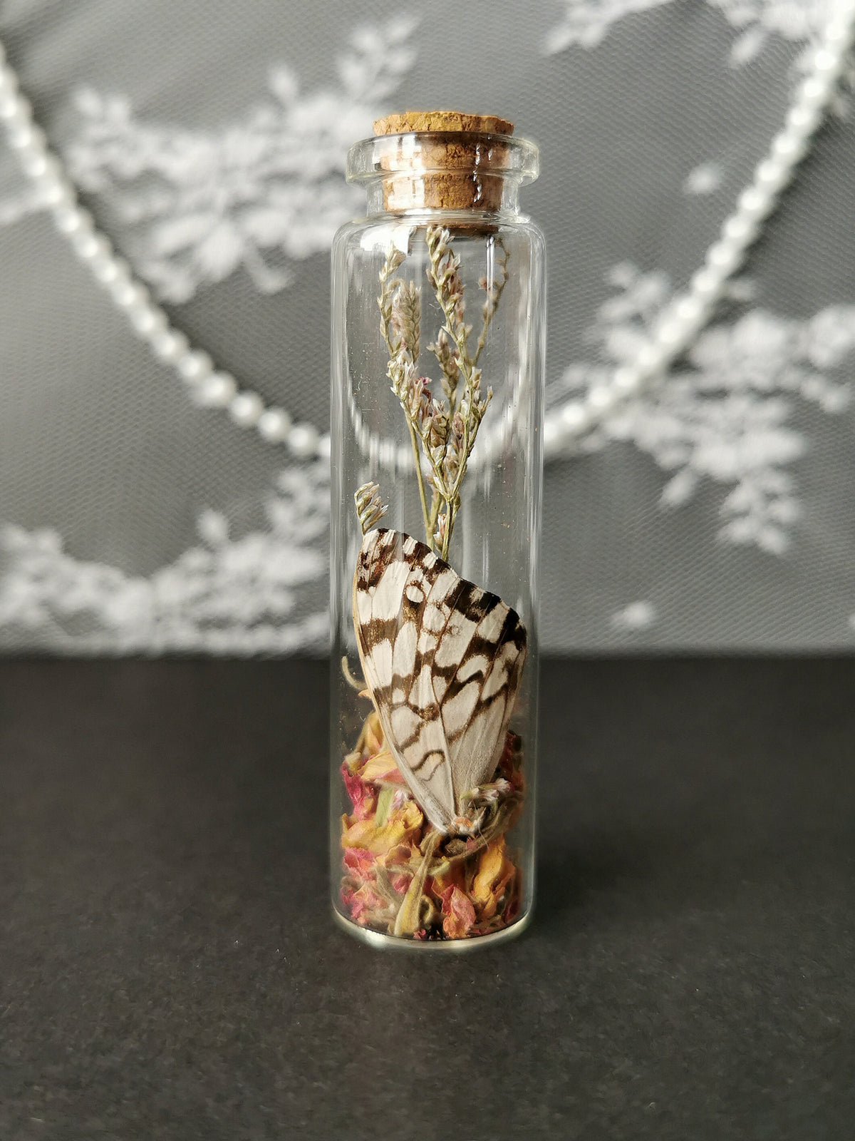 Small curiosity bottle