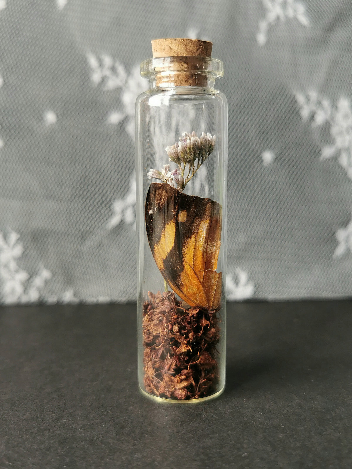 Small curiosity bottle