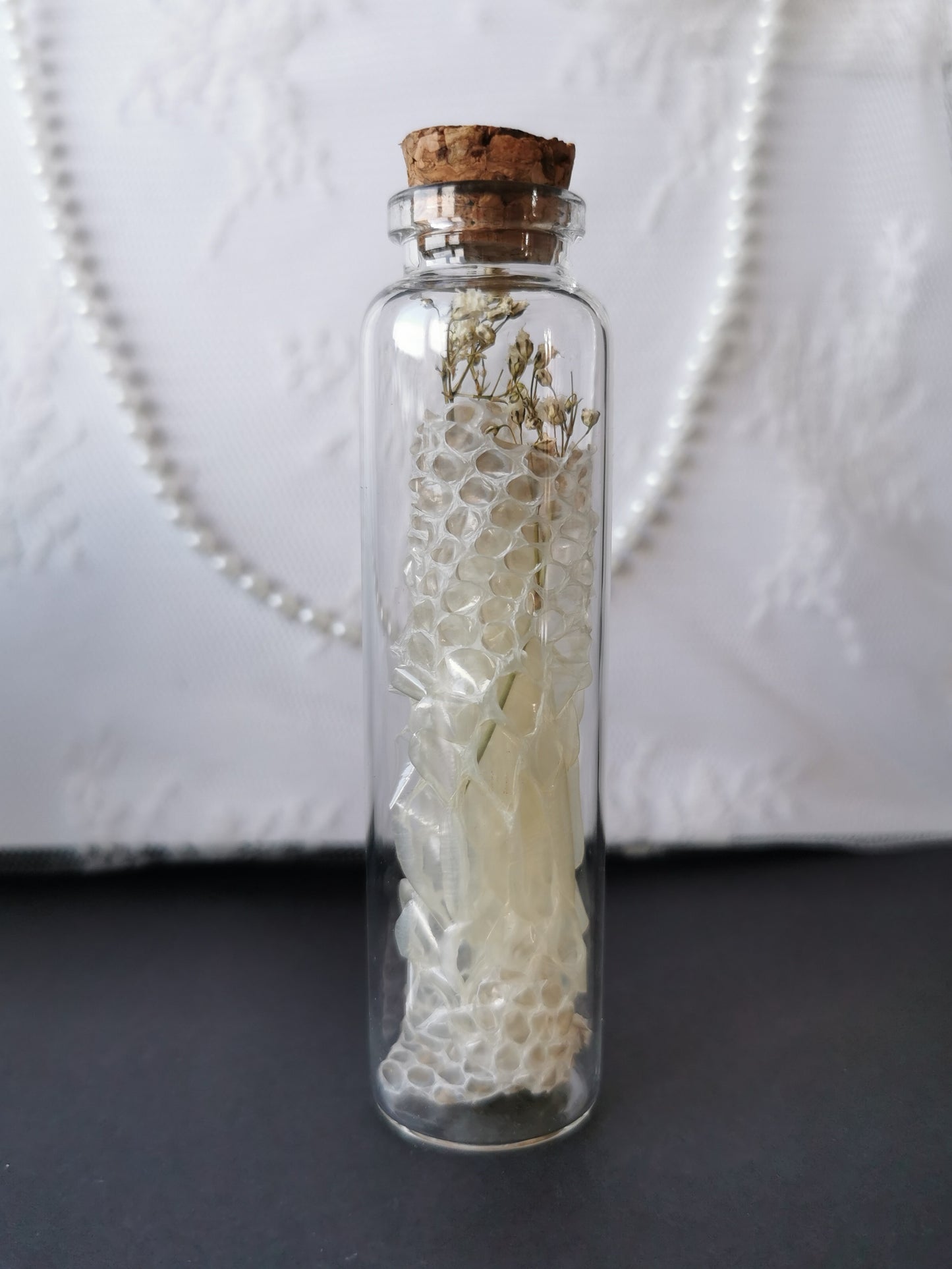 Large curiosity bottle