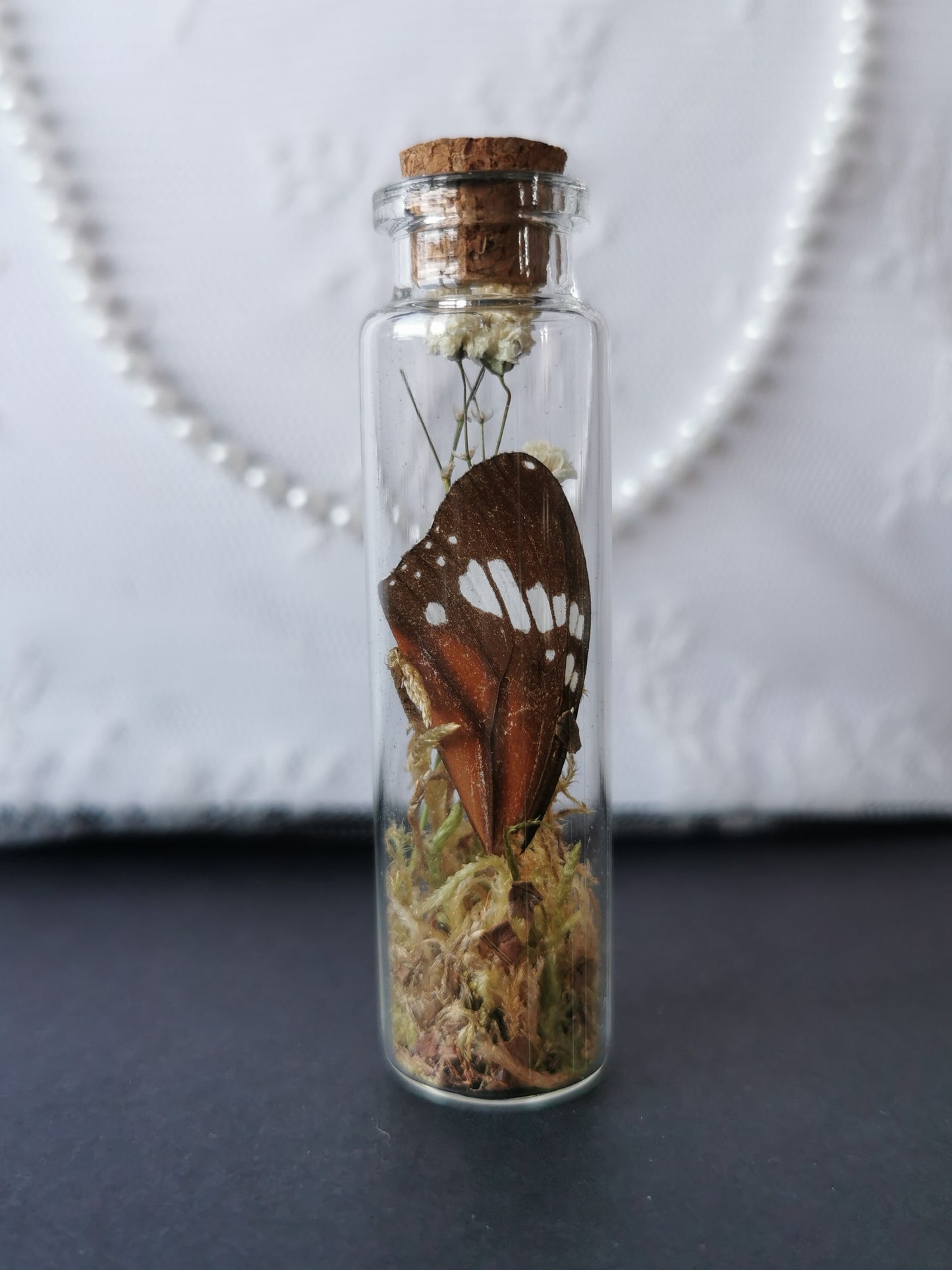 Small curiosity bottle