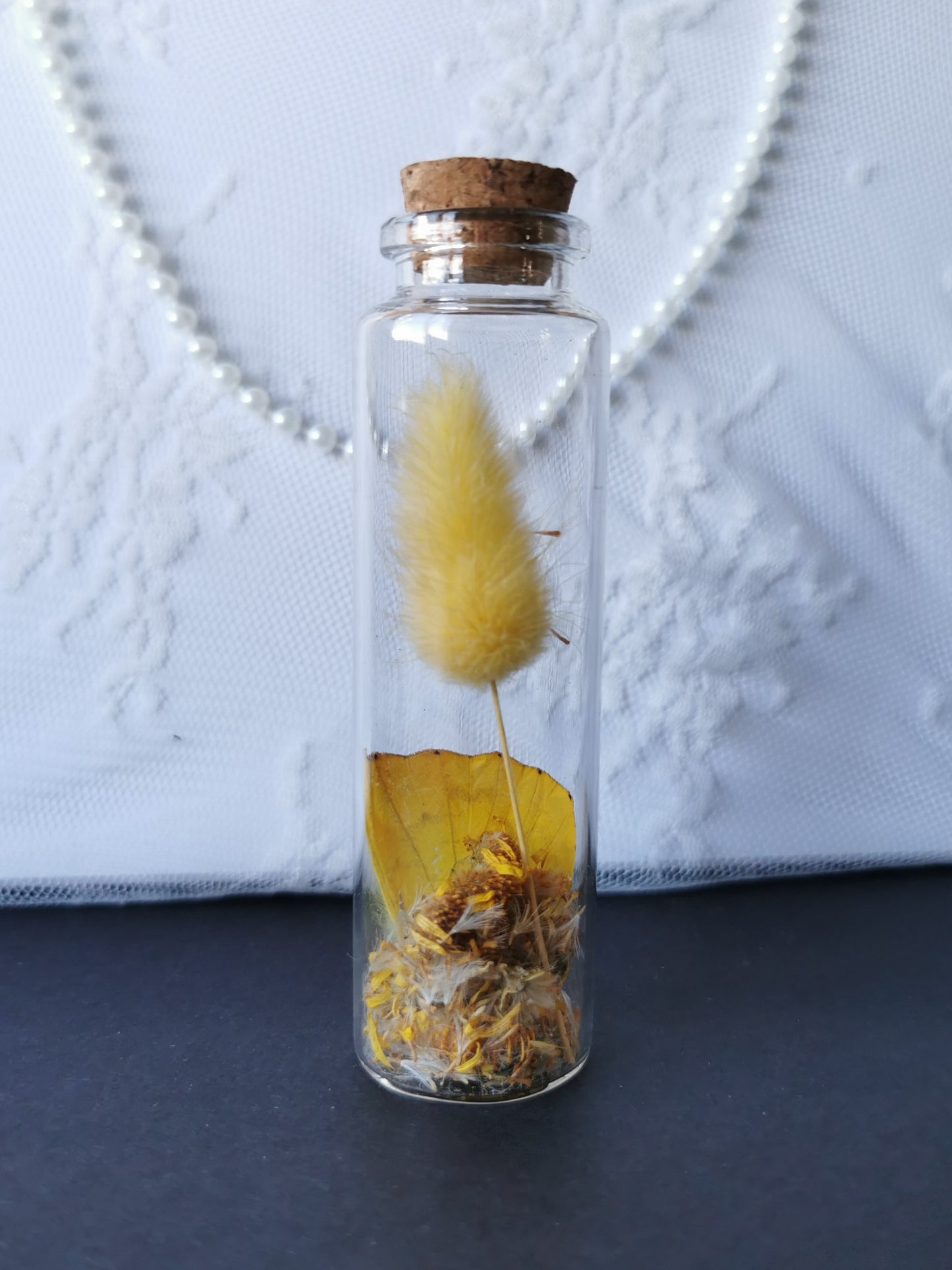 Large curiosity bottle