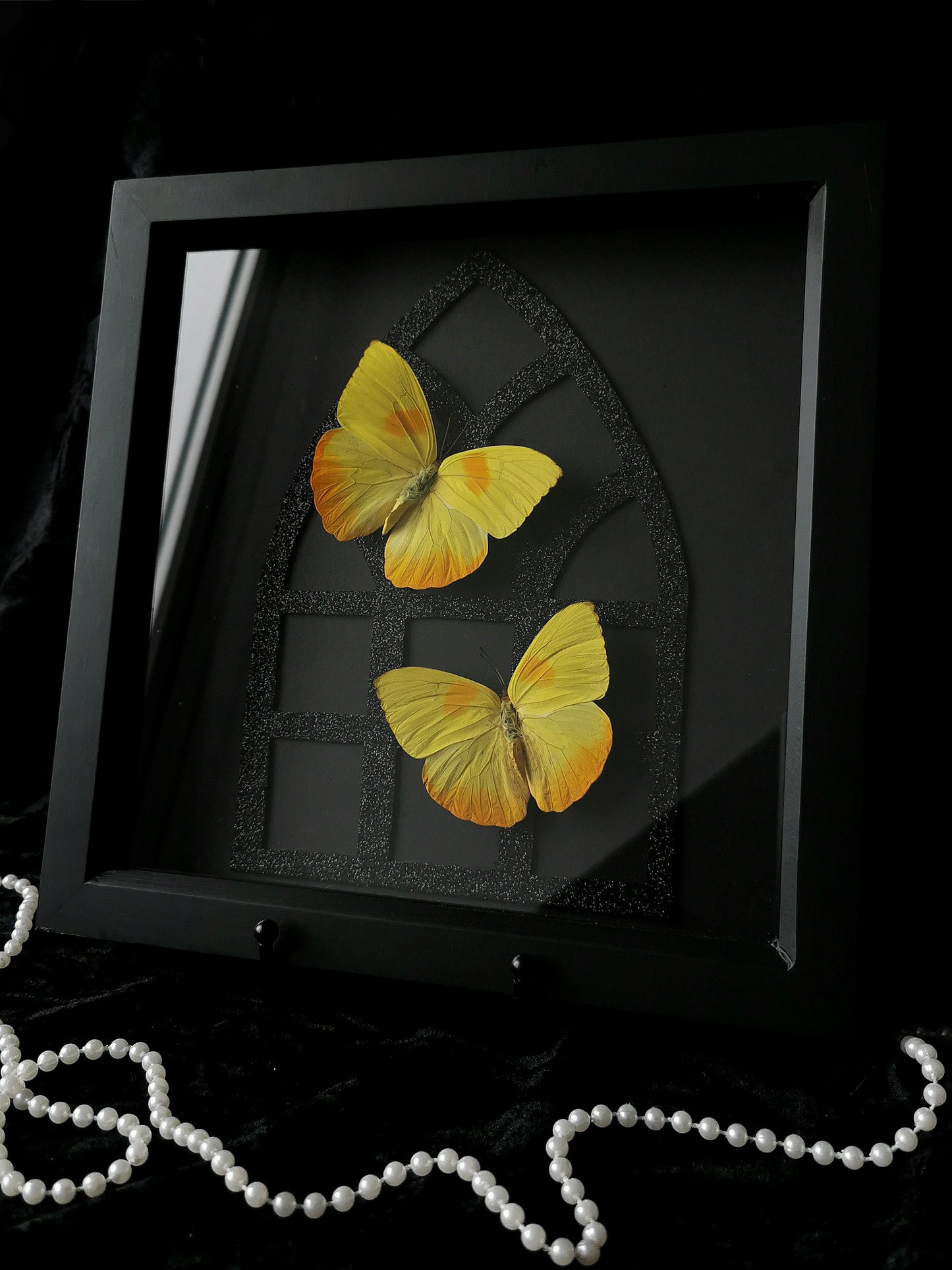 Orange-barred sulphur butterflies gothic glitter entomology frame