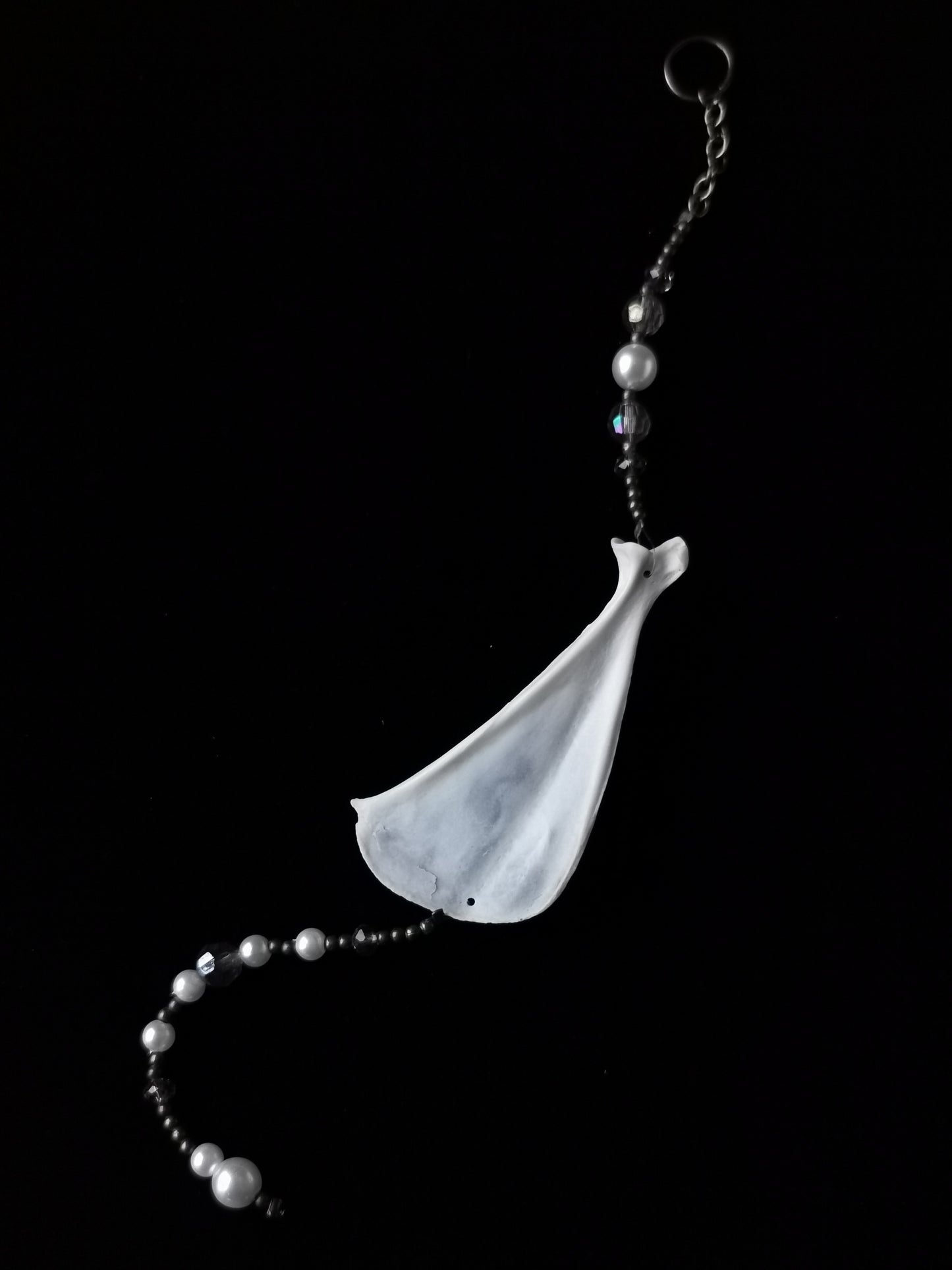 Rabbit scapula suncatcher