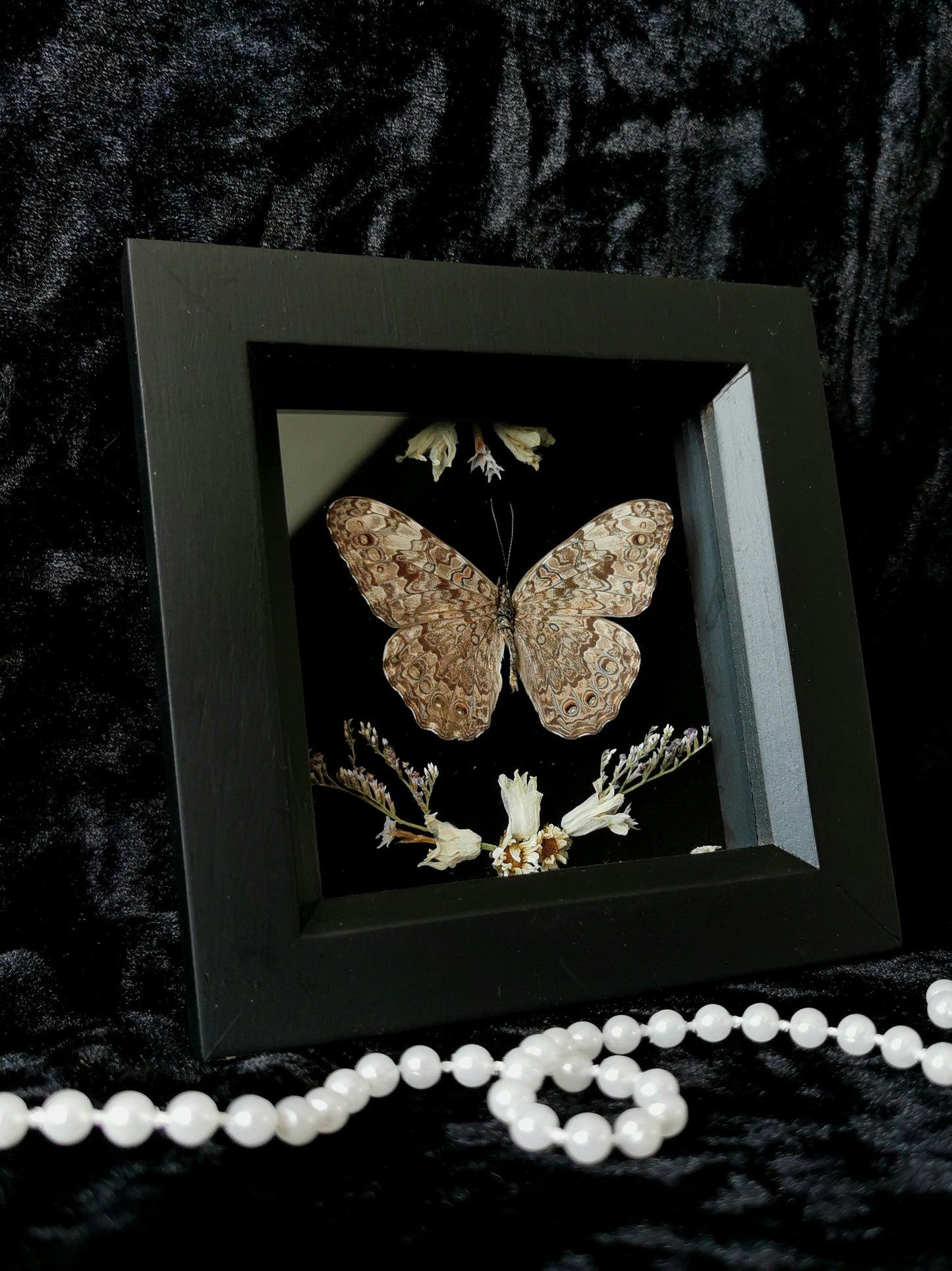 Gray cracker butterfly frame with dried flowers