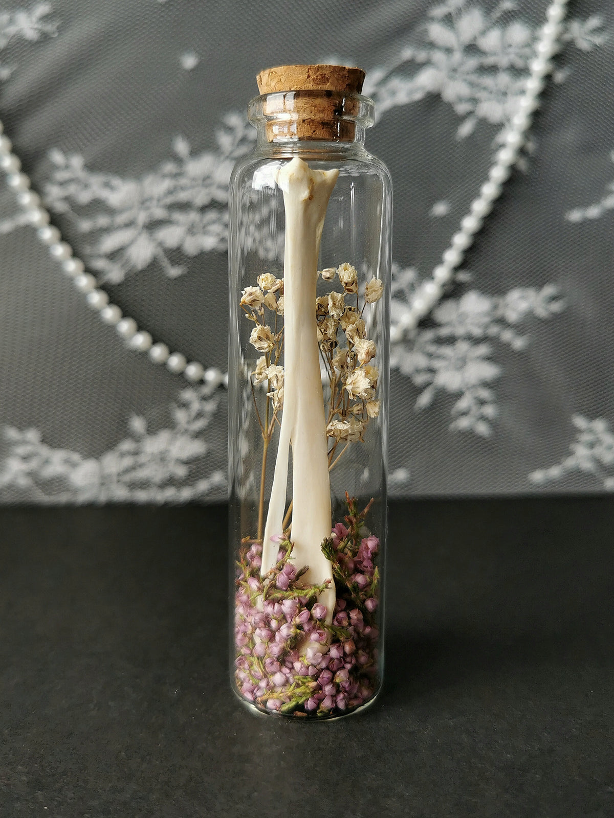 Large curiosity bottle