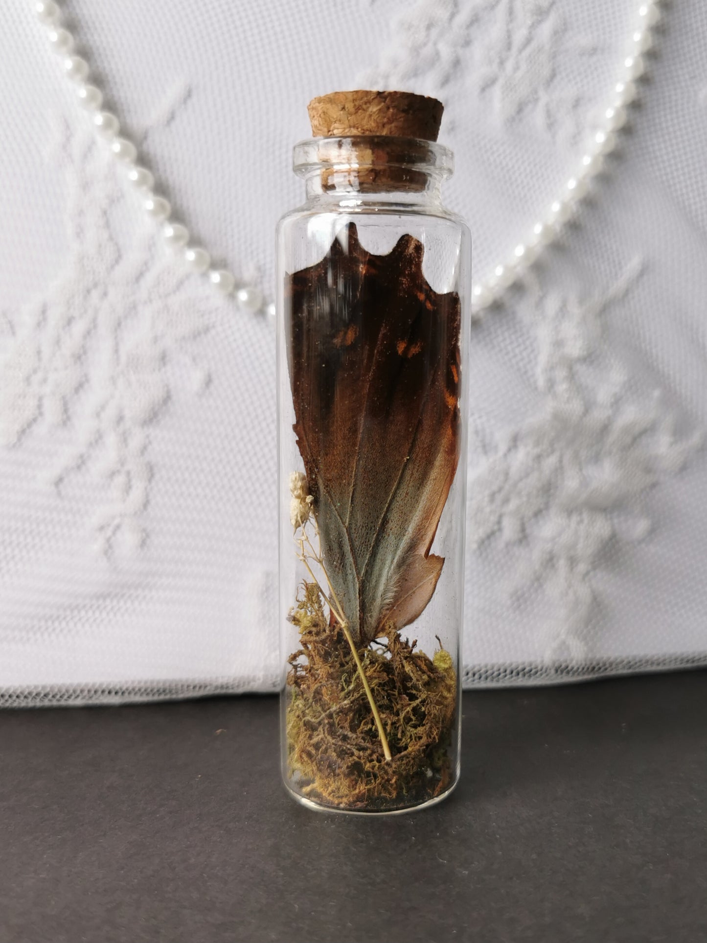 Large curiosity bottle