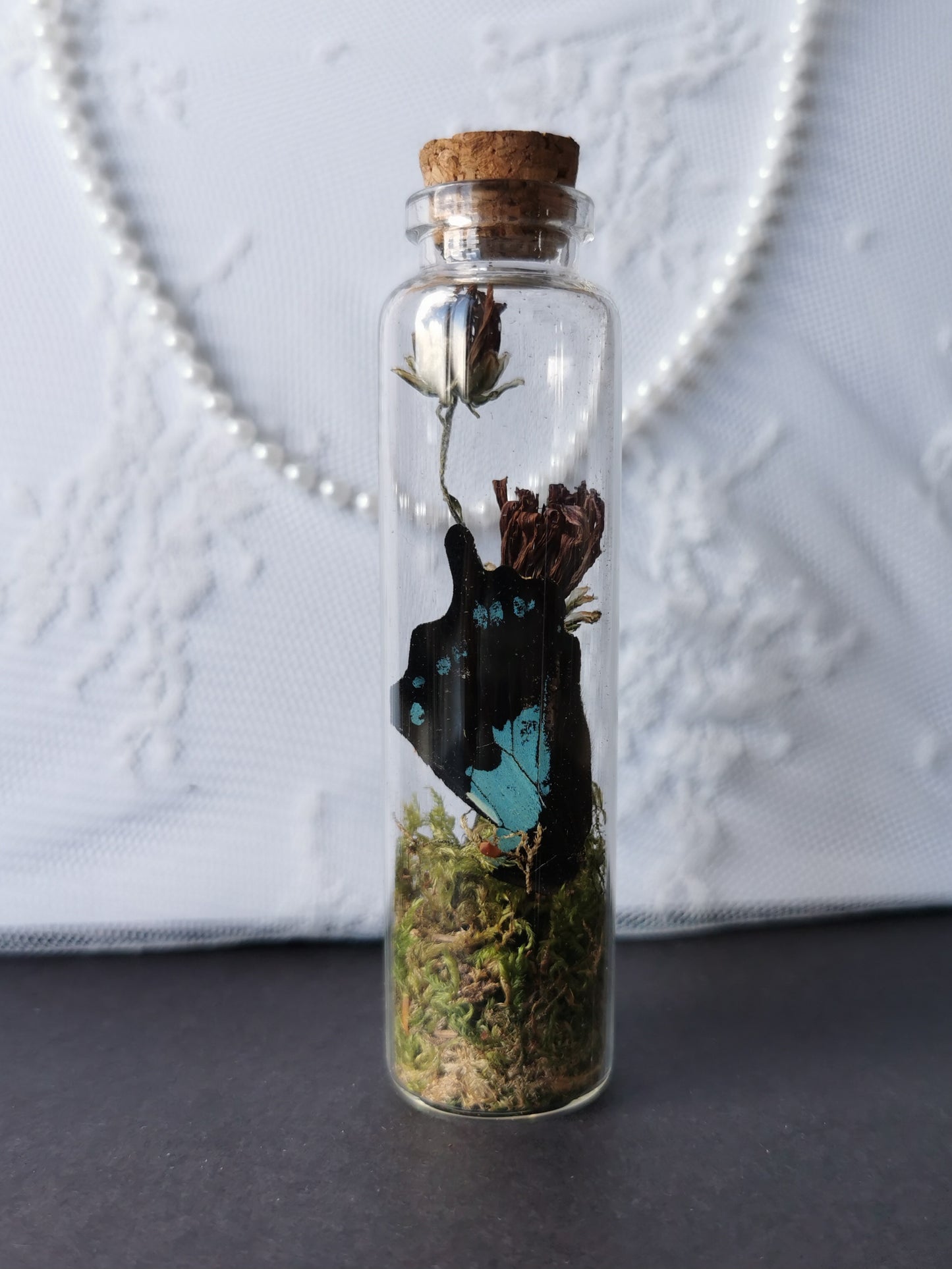 Large curiosity bottle
