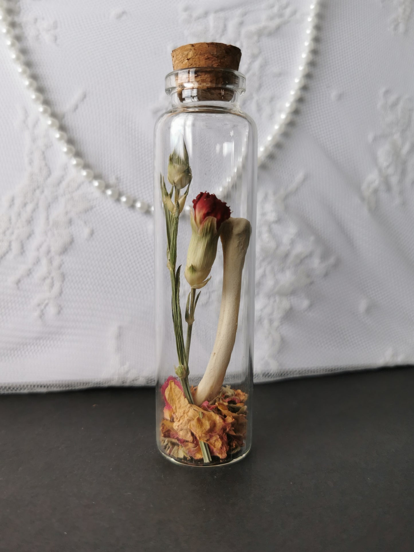 Large curiosity bottle